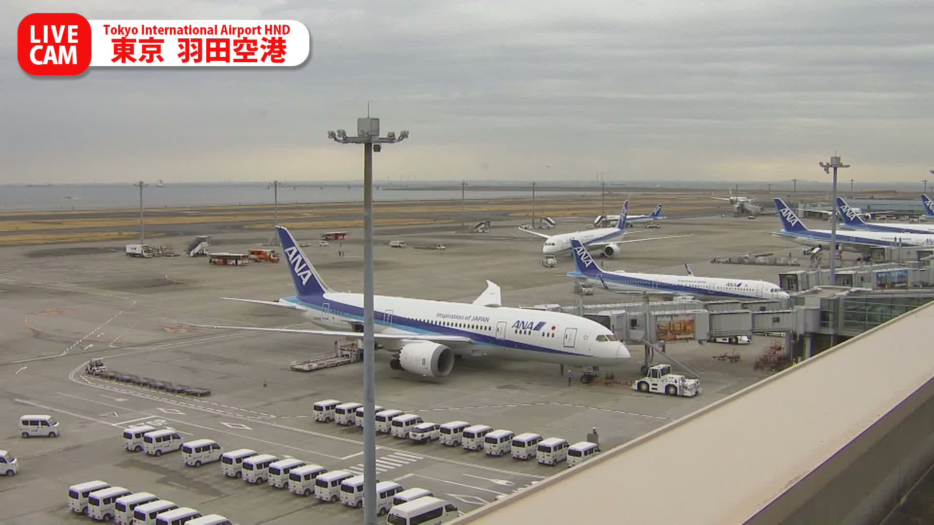 Tokyo Haneda International Airport PTZ ( 東京羽田空港 ) Live Cam HND/RJTT - Hanedakuko, Ōta-ku,Tokyo, Kantō, Honshu, Japan