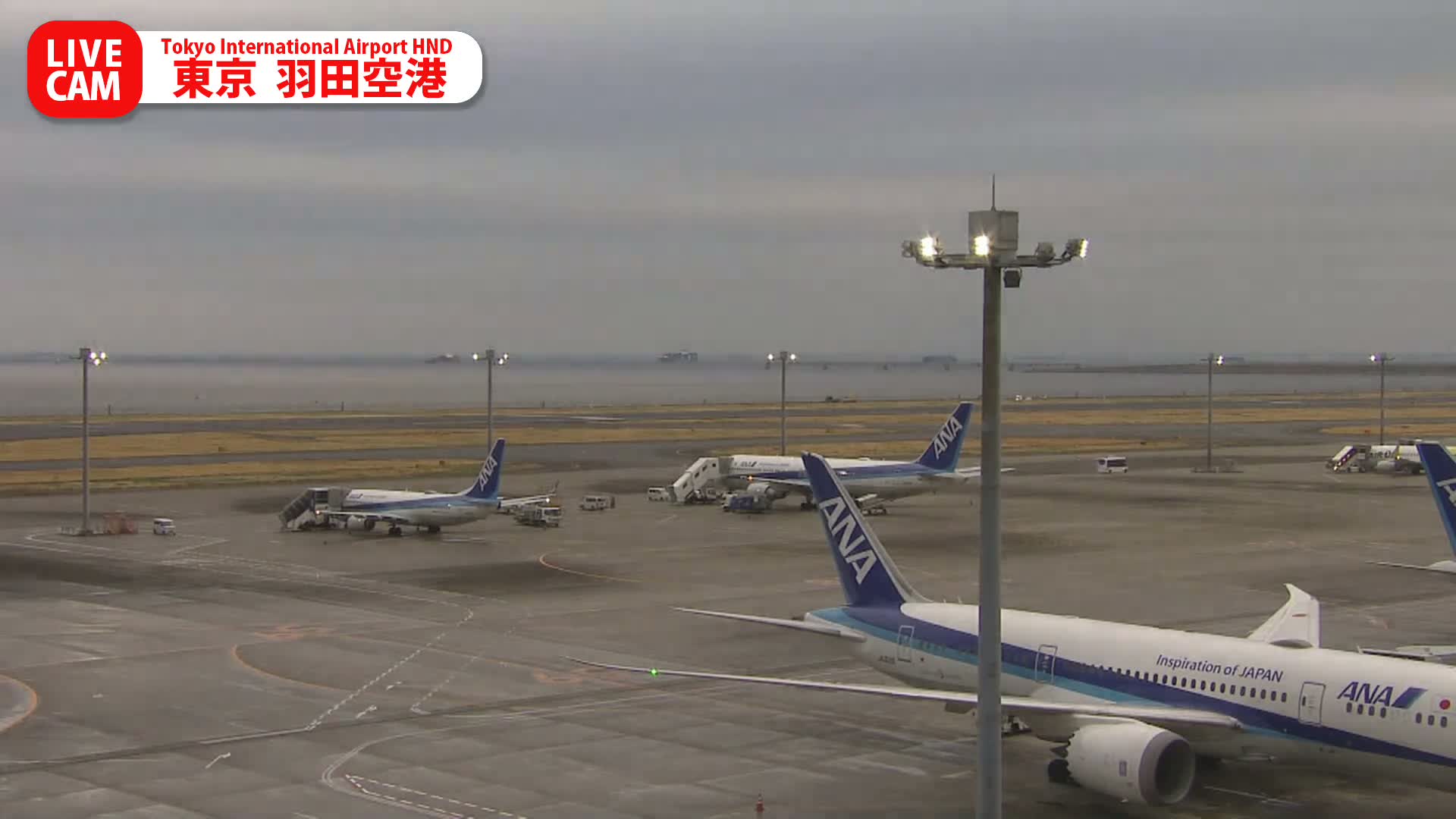 Tokyo Haneda International Airport PTZ ( 東京羽田空港 ) Live Cam HND/RJTT - Hanedakuko, Ōta-ku,Tokyo, Kantō, Honshu, Japan