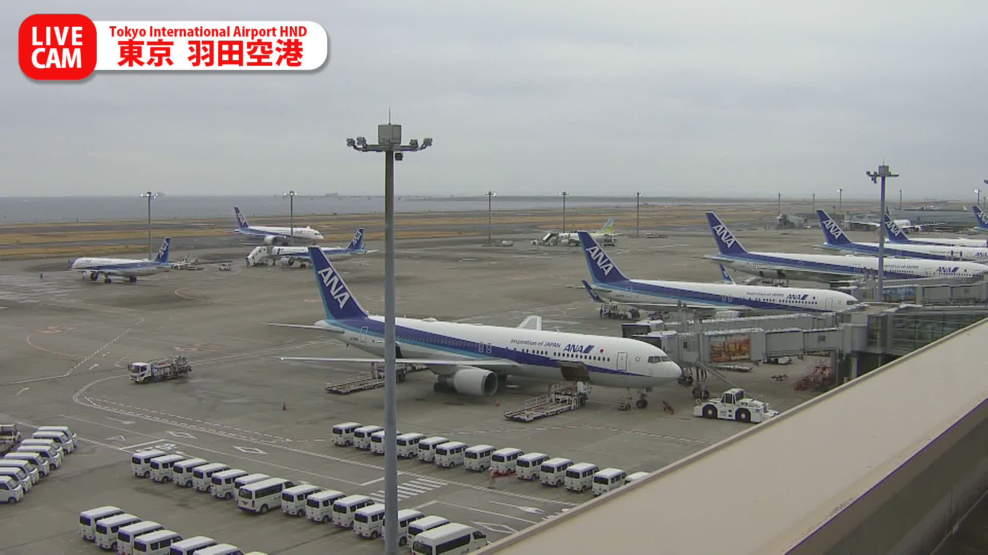 Tokyo Haneda International Airport PTZ ( 東京羽田空港 ) Live Cam HND/RJTT - Hanedakuko, Ōta-ku,Tokyo, Kantō, Honshu, Japan