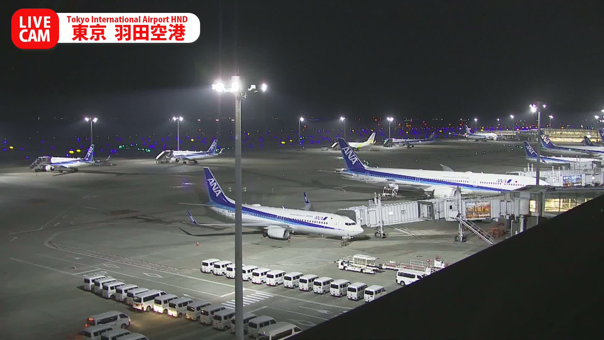 Tokyo Haneda International Airport PTZ ( 東京羽田空港 ) Live Cam HND/RJTT - Hanedakuko, Ōta-ku,Tokyo, Kantō, Honshu, Japan