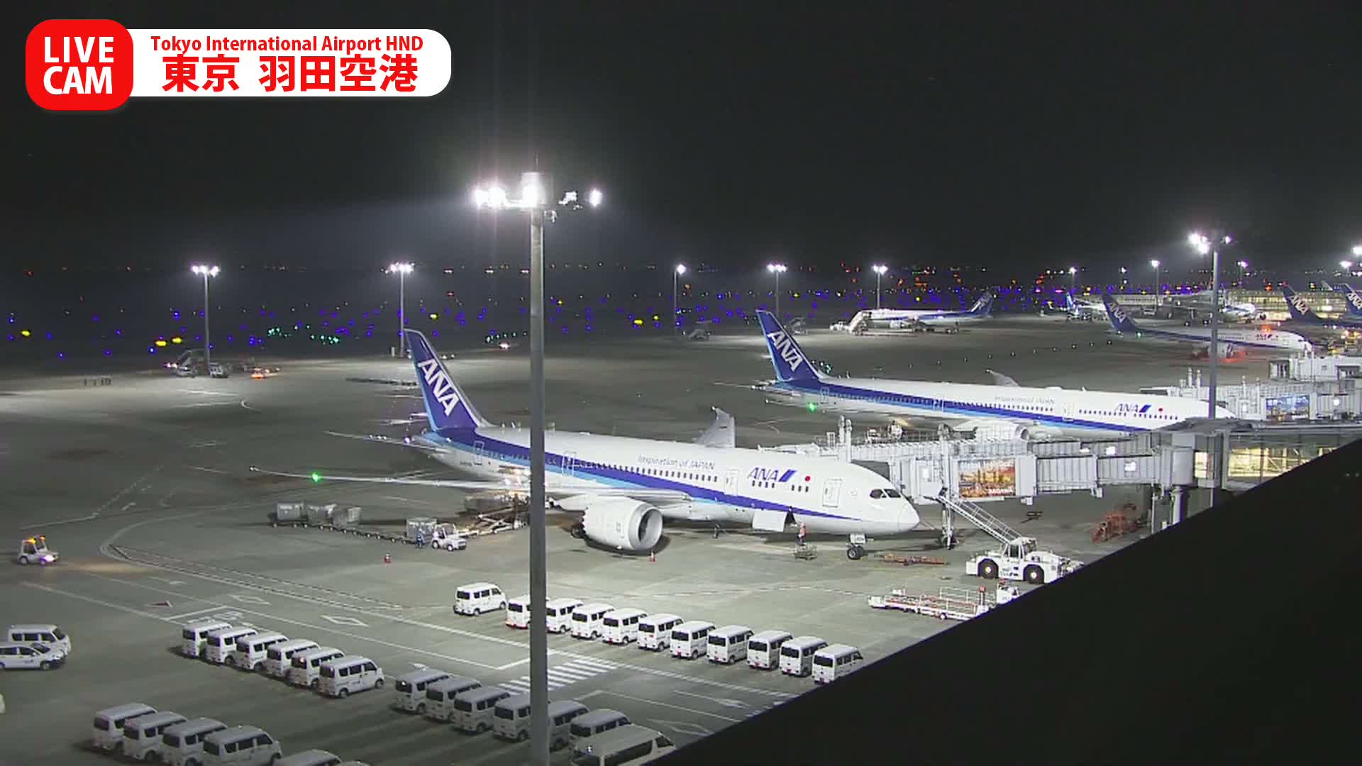 Multiple ANA airplanes are parked on a brightly lit airport tarmac at night, surrounded by ground support vehicles and jet bridges under a clear sky.