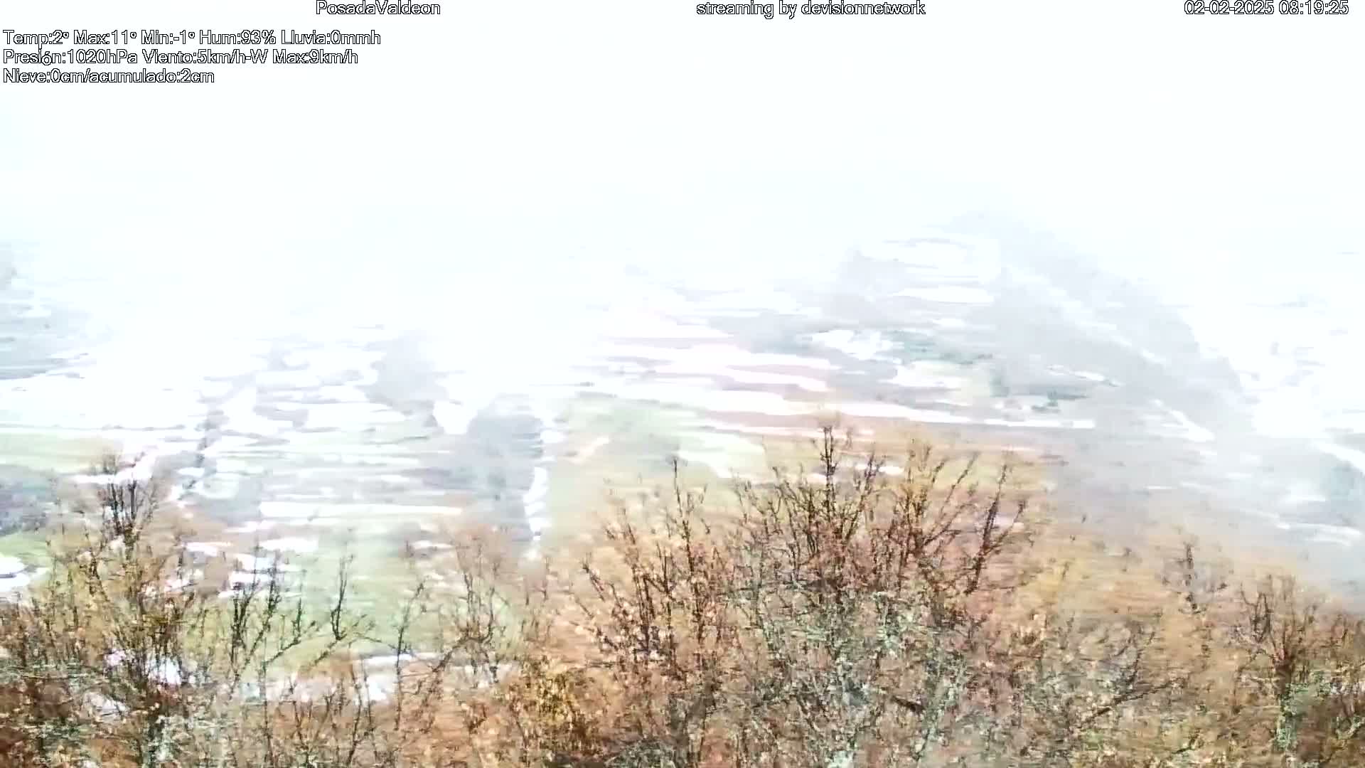 A snowy, hazy view of a hilly landscape with bare trees in the foreground.