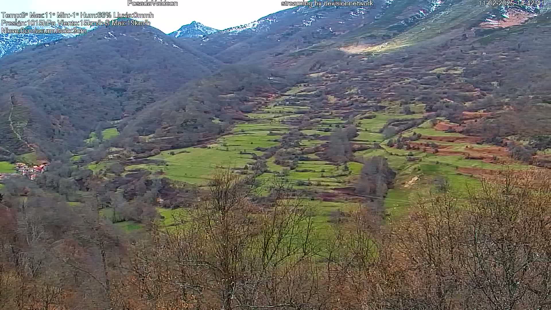 A valley with terraced fields and leafless trees under an overcast sky, with snow-capped mountains in the background.