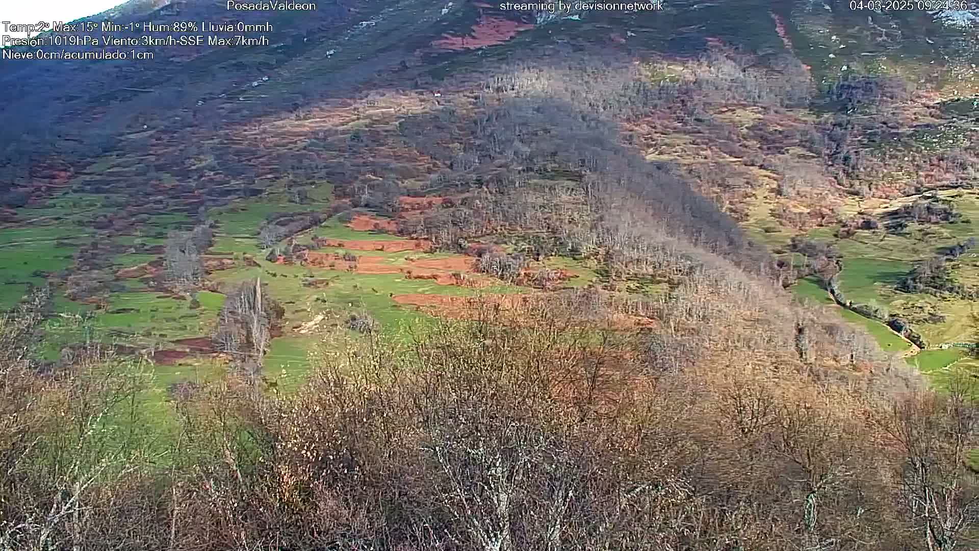 A hilly landscape with patches of green grass and reddish-brown earth, interspersed with leafless trees, is visible under rainy conditions.