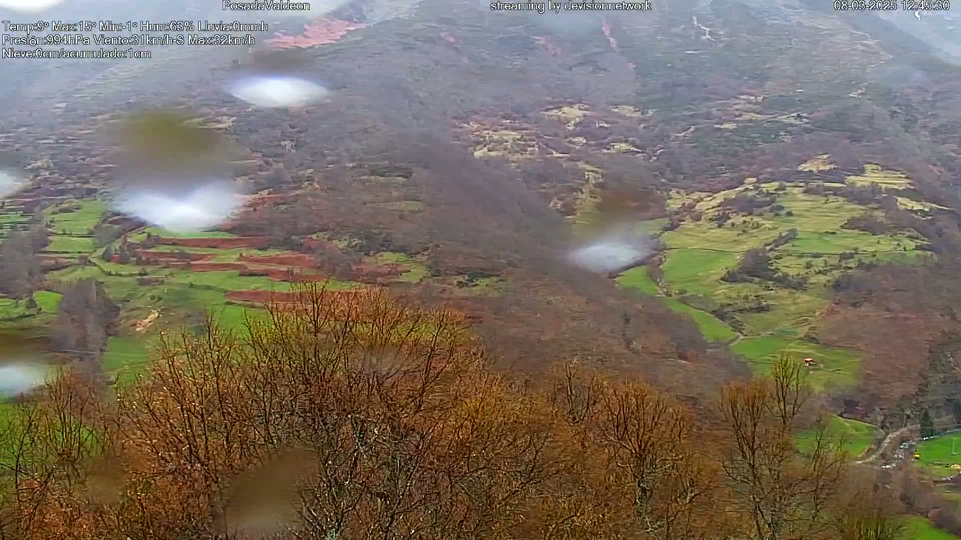 A rainy view of a hilly landscape with patches of green fields and bare trees under an overcast sky.