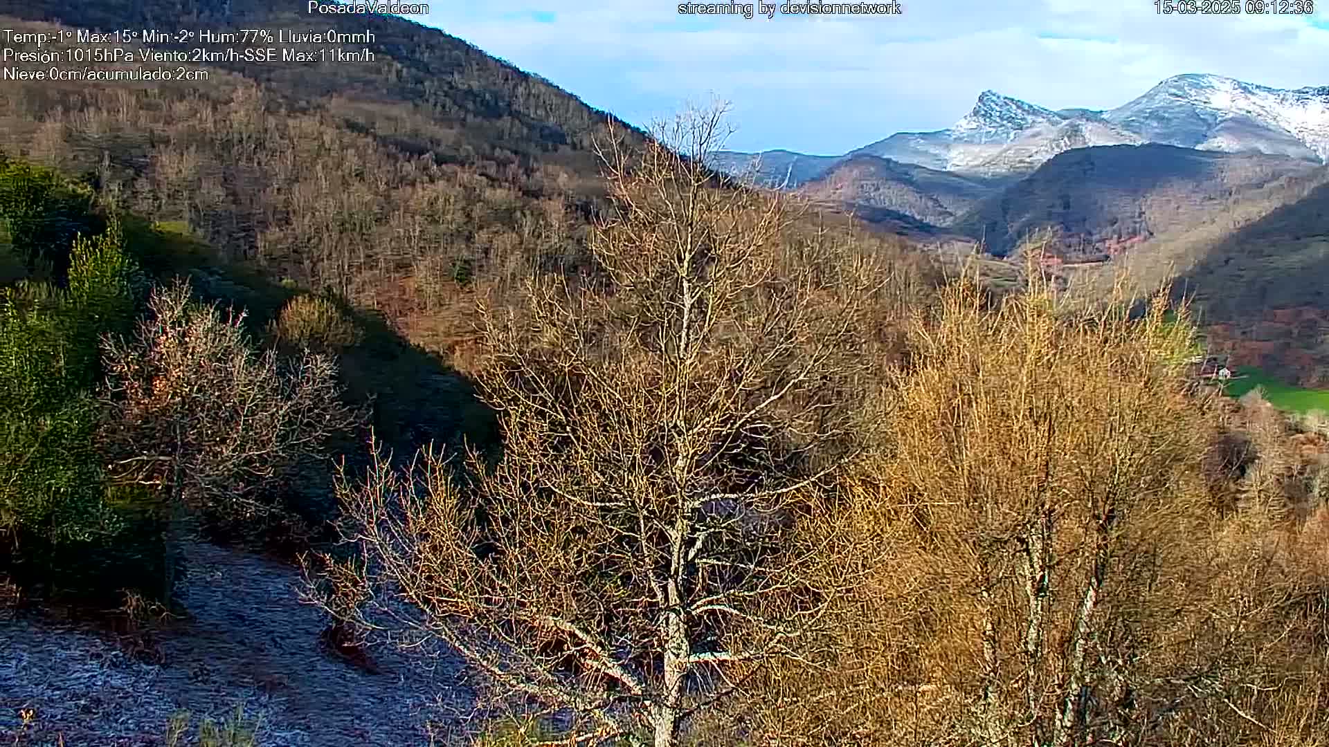A valley filled with leafless, brown trees under a mostly clear sky, with snow-capped mountains in the background.