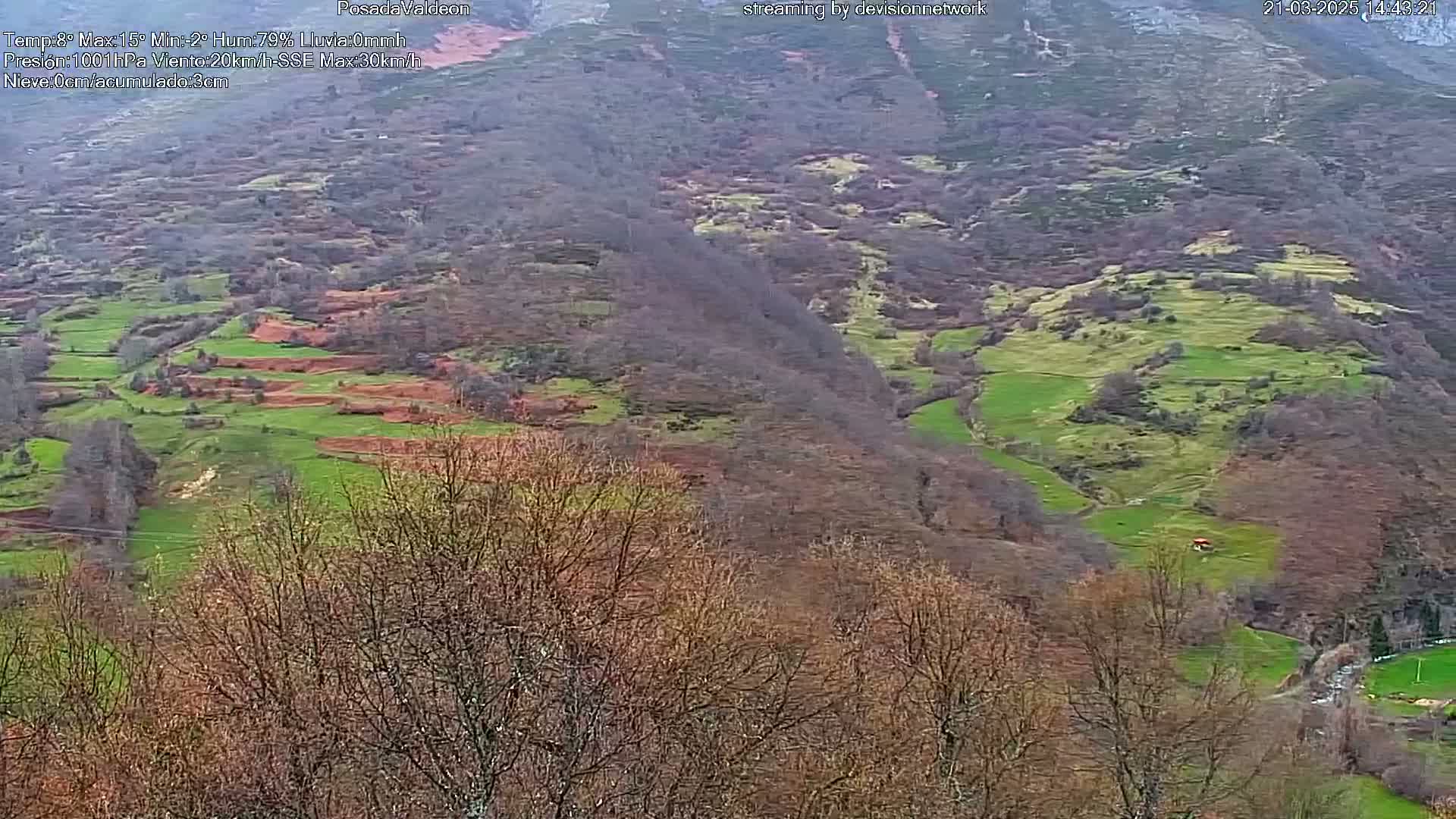 A valley of rolling green hills and leafless trees under an overcast sky.