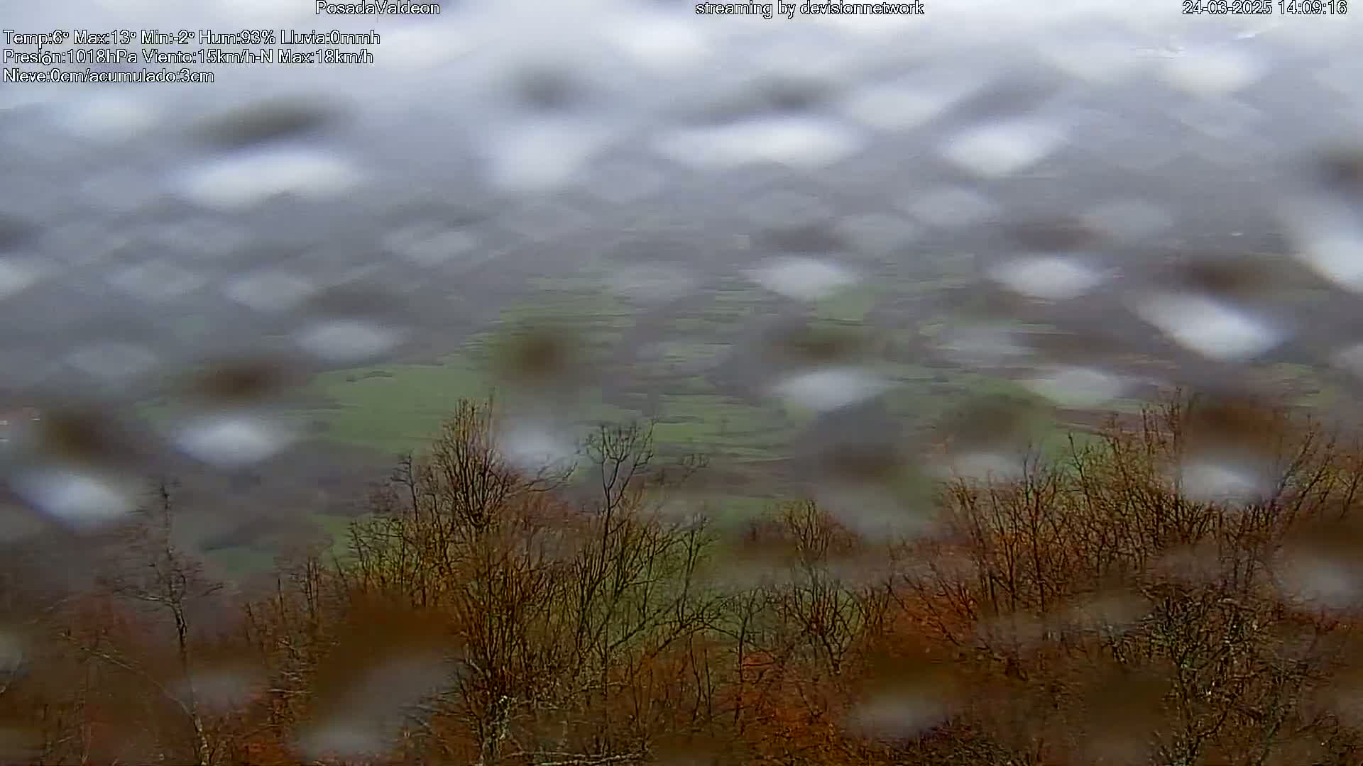A rain-blurred view of a hilly landscape with bare trees in the foreground and a hazy, green valley in the distance.