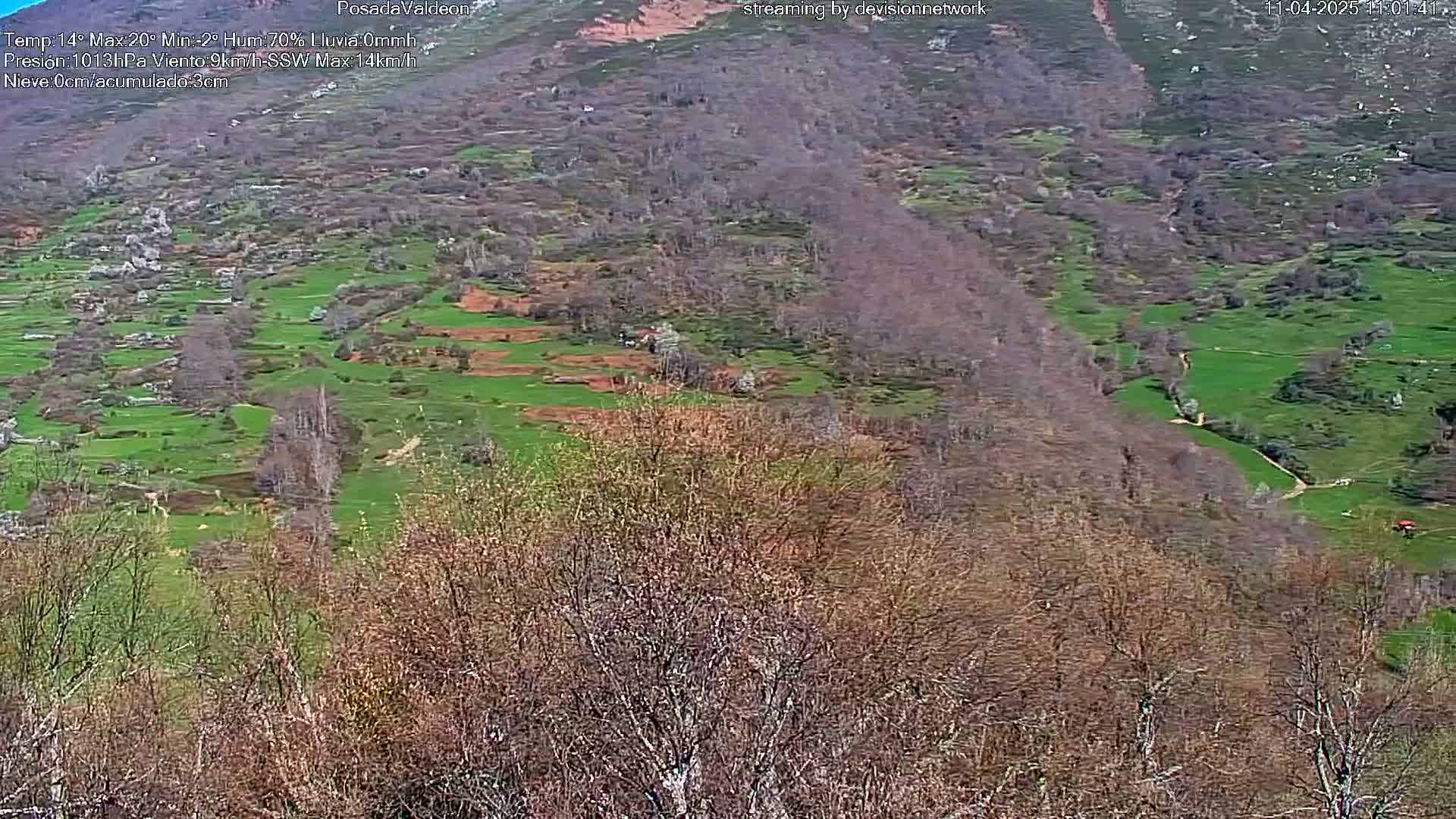 A hillside landscape of patchy green fields and bare, brown trees under a partly cloudy sky.