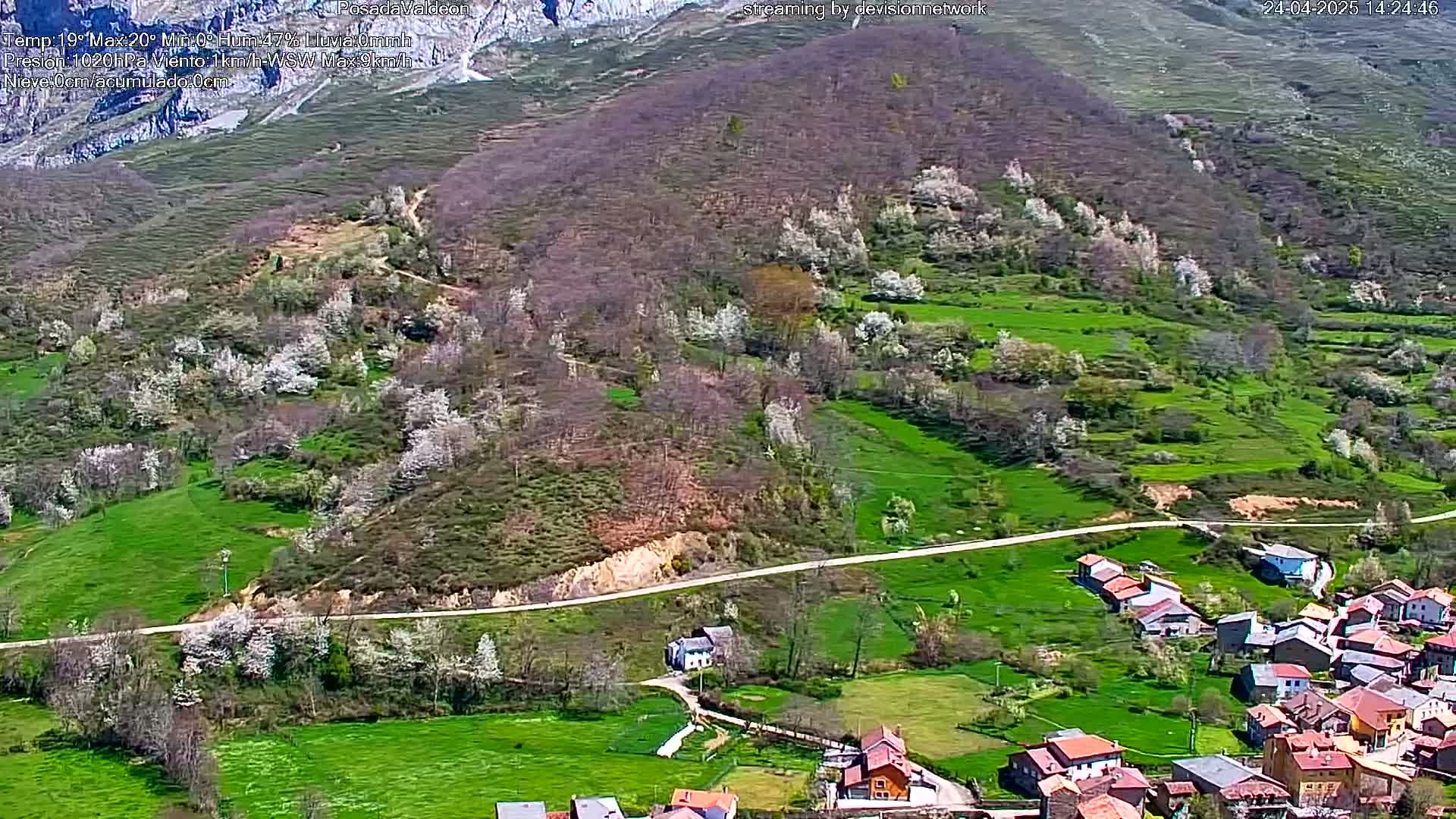 A small village nestled in a verdant valley, dotted with blossoming trees and a winding road, under a clear sky.