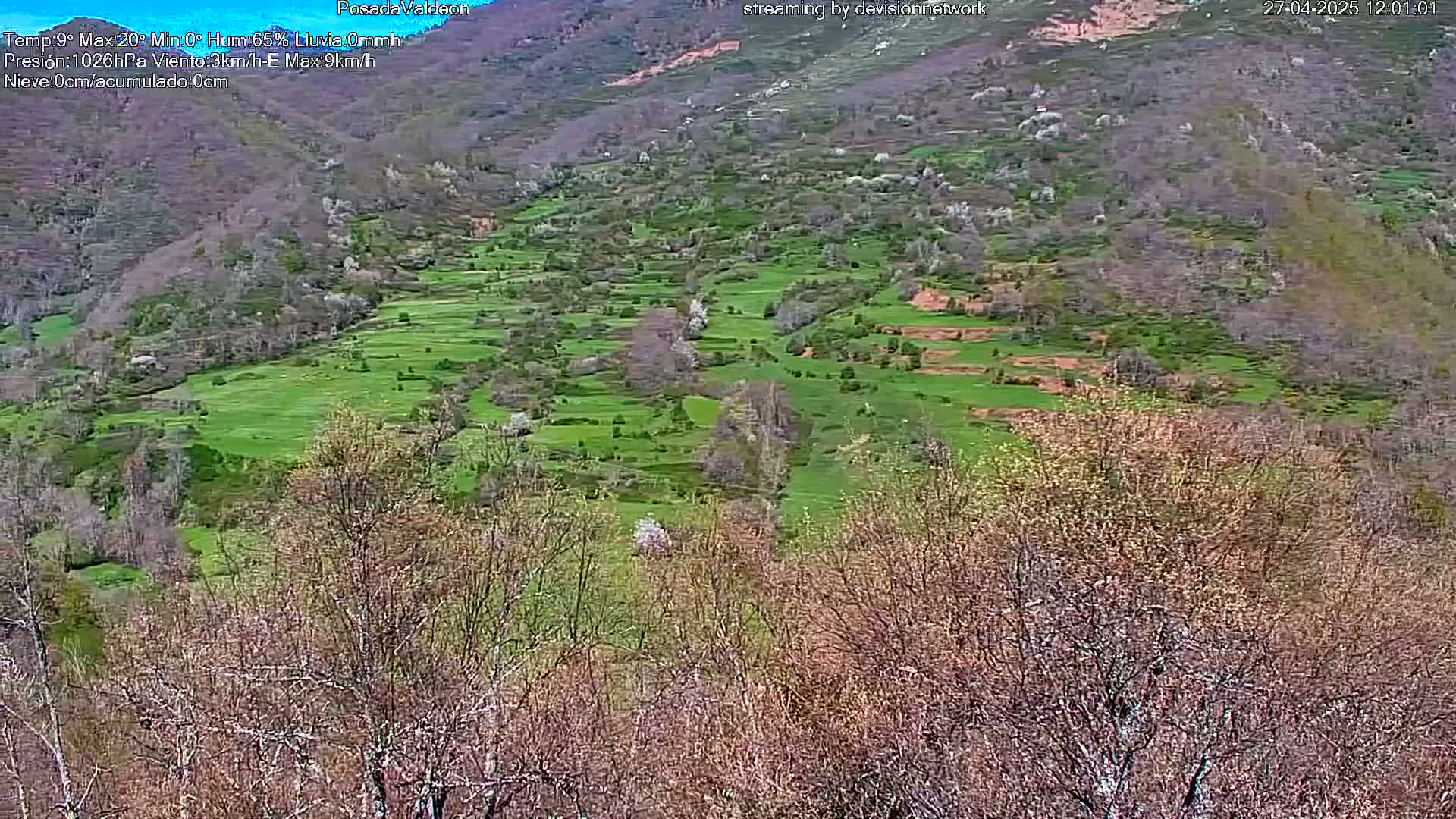 A hilly landscape with terraced green fields and leafing trees is seen from a distance on a clear day.