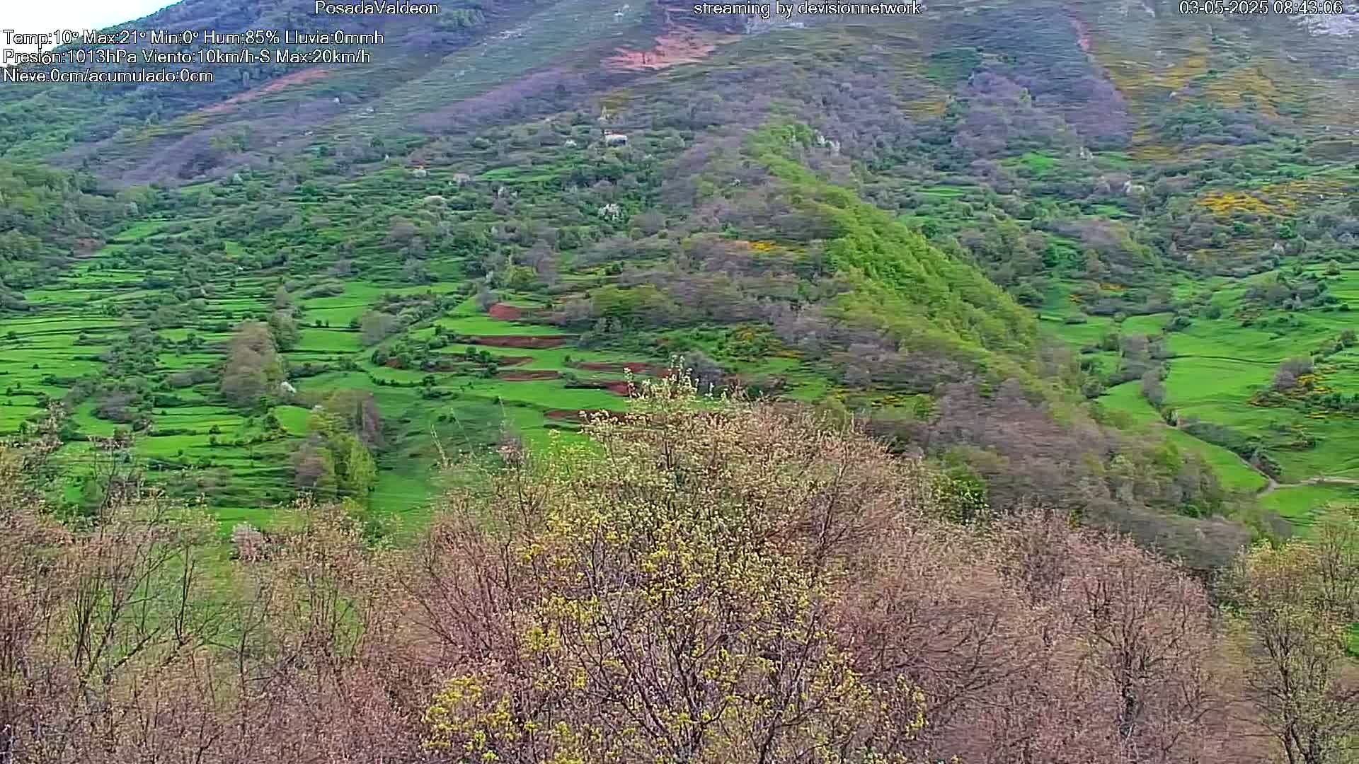 A hilly landscape of terraced green fields and budding trees is visible under overcast skies.