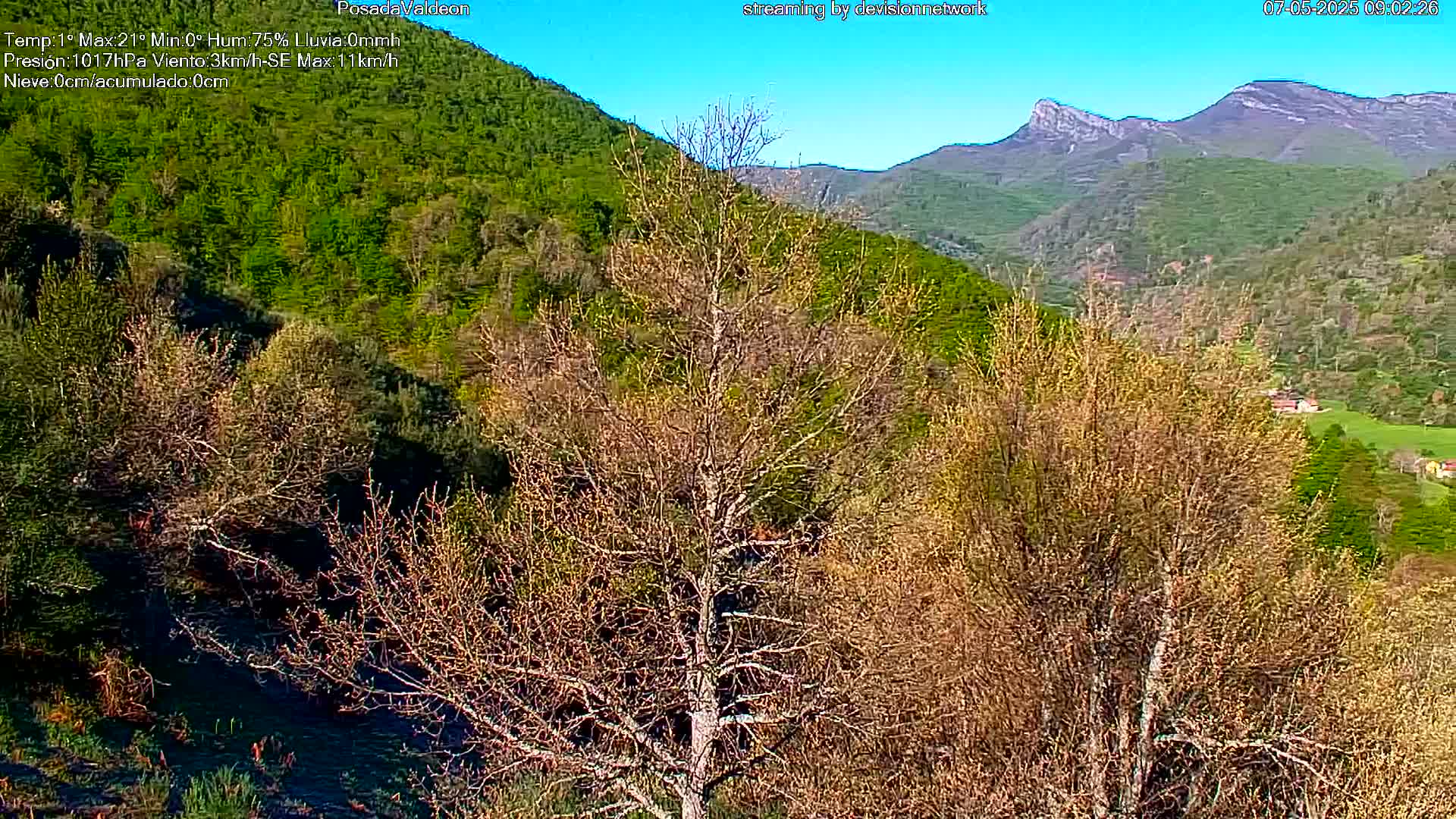 A mostly sunny view of a valley with brown and green trees and mountains in the background.