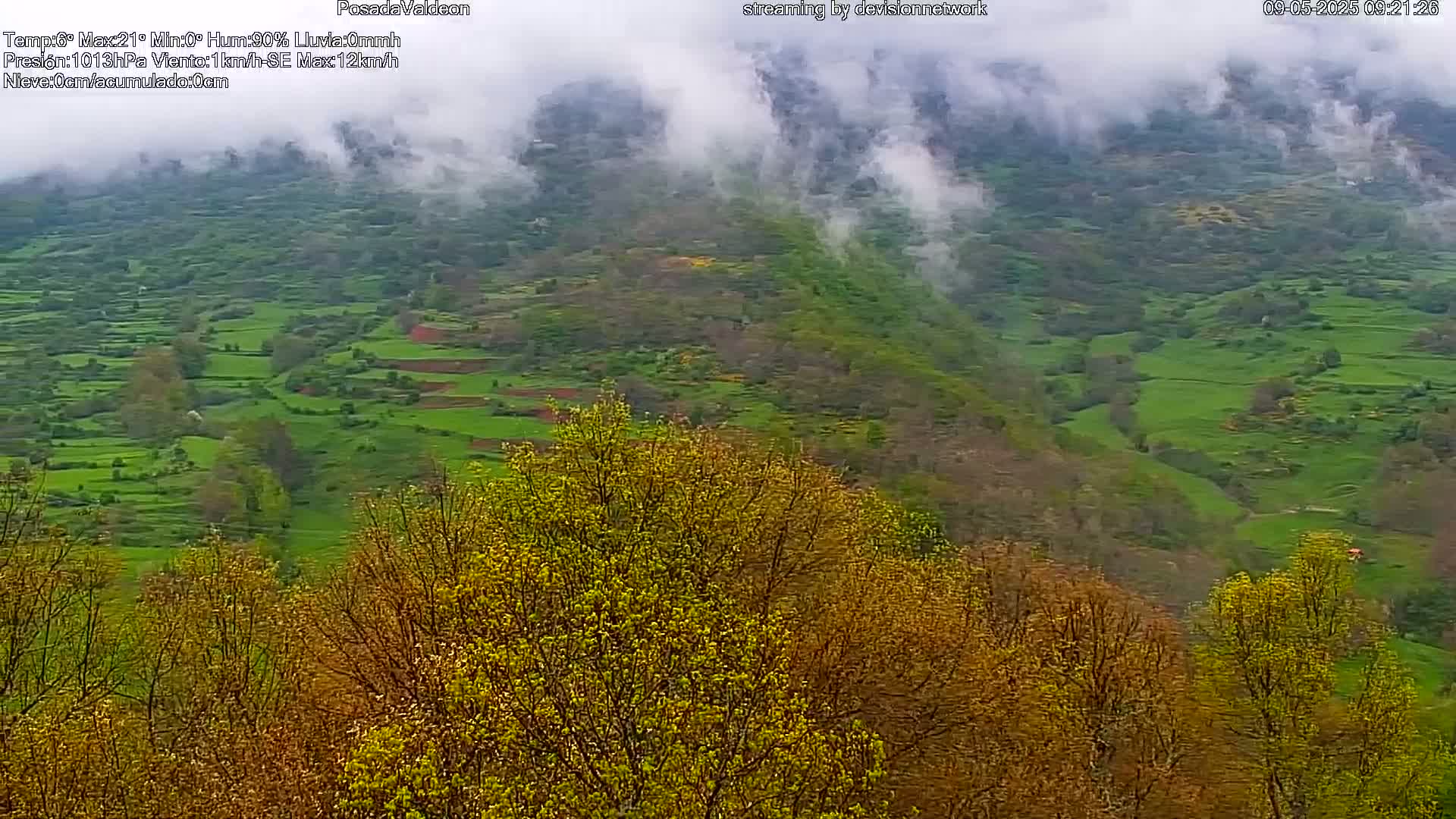 A misty, green valley dotted with small farms and trees with new spring leaves.