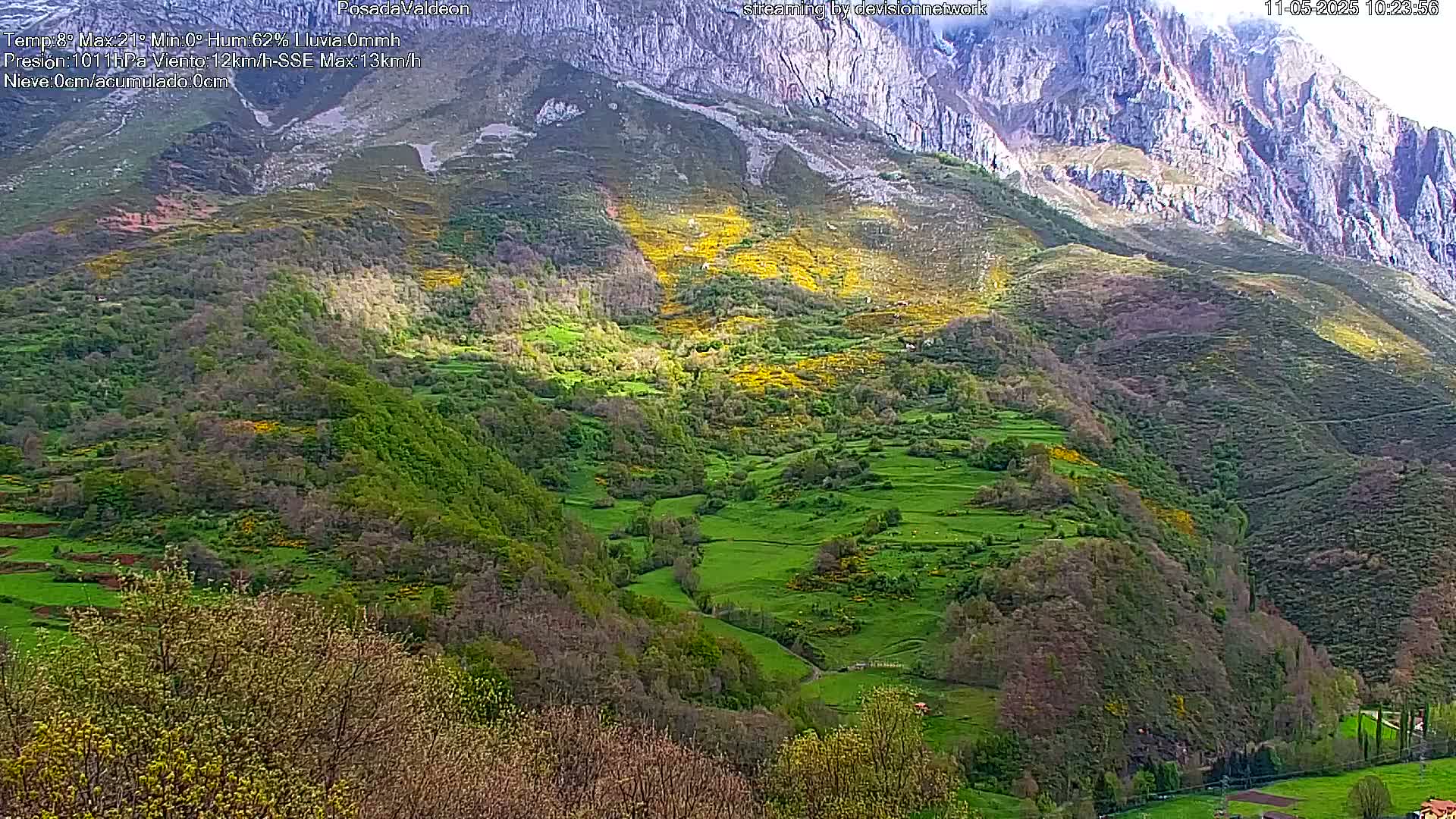 A mountainous valley with green fields and patches of yellow flowers, nestled beneath a large, rocky mountain.