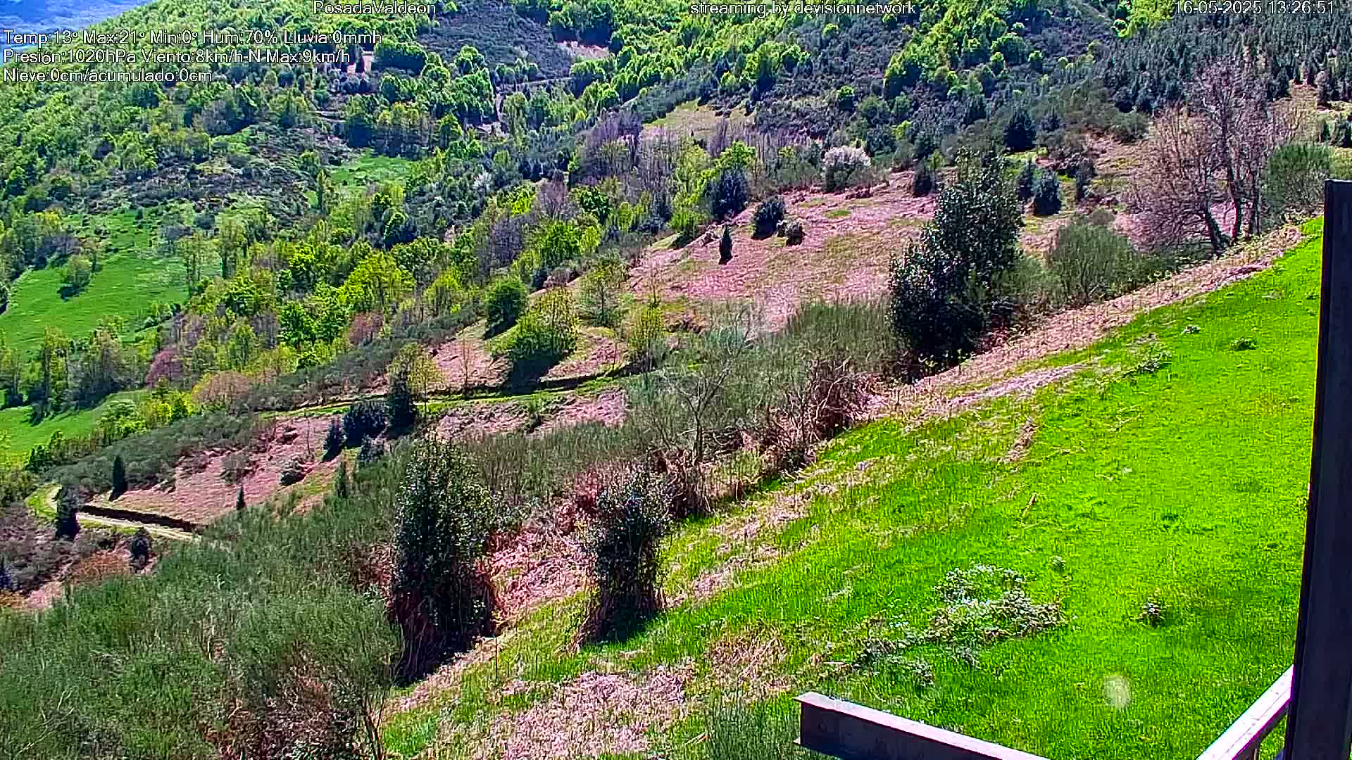 A sunny, hilly landscape with lush green grass and patches of brown earth, dotted with various green trees and shrubs.