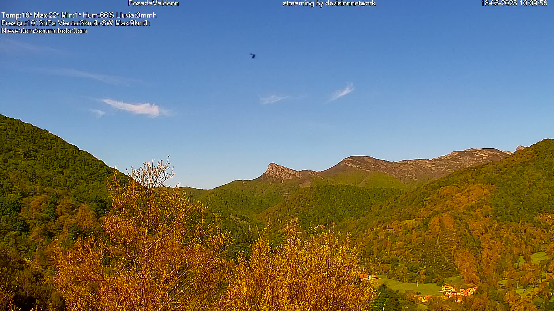 A bird flies over a valley of green and gold hills under a clear blue sky.
