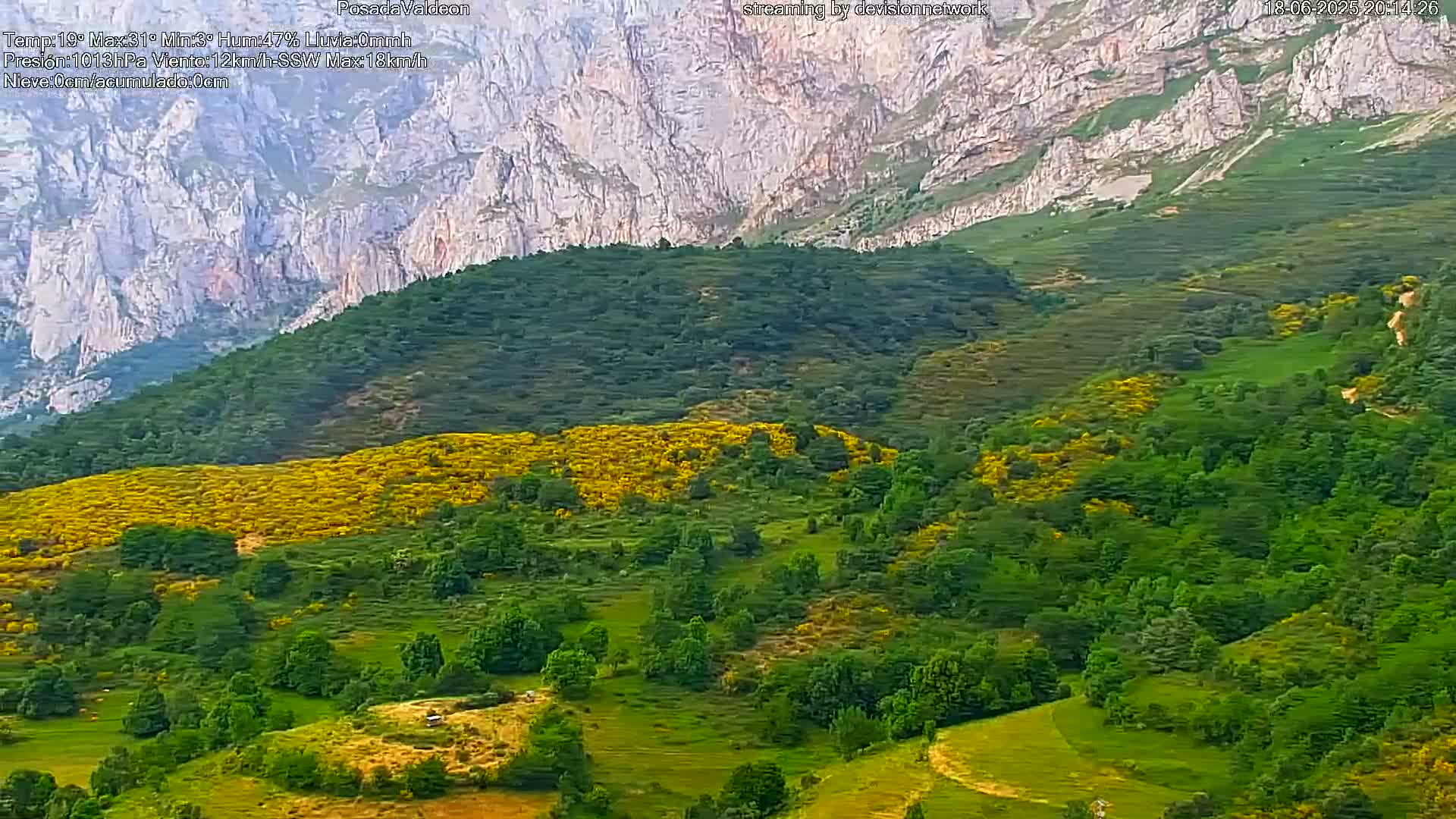 A verdant hillside dotted with patches of yellow wildflowers rises towards a towering, light-grey mountain range under a clear sky.