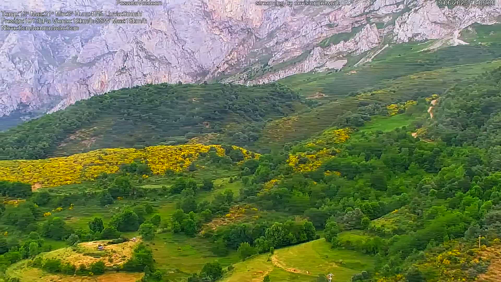 A lush green valley dotted with patches of yellow wildflowers stretches out beneath a towering, light-grey mountain range under a partly sunny sky.