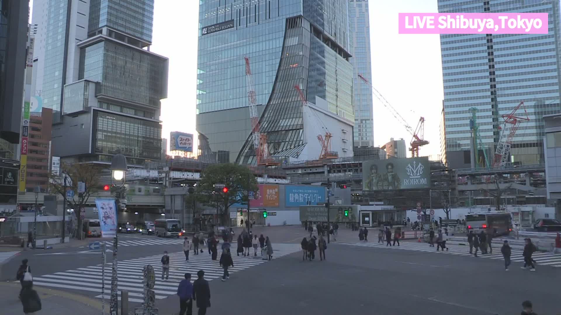 Tokyo, Shibuya Scramble Crossing at Hachiko Square & Koen Dori& Jingu-dori Street Junction ( 東京、渋谷スクランブル交差点ハチ公前広場＆公園通り＆神宮通りジャンクション )  Live Cam - Udagawacho, Shibuya-ku, Tokyo, Kantō, Honshu, Japan