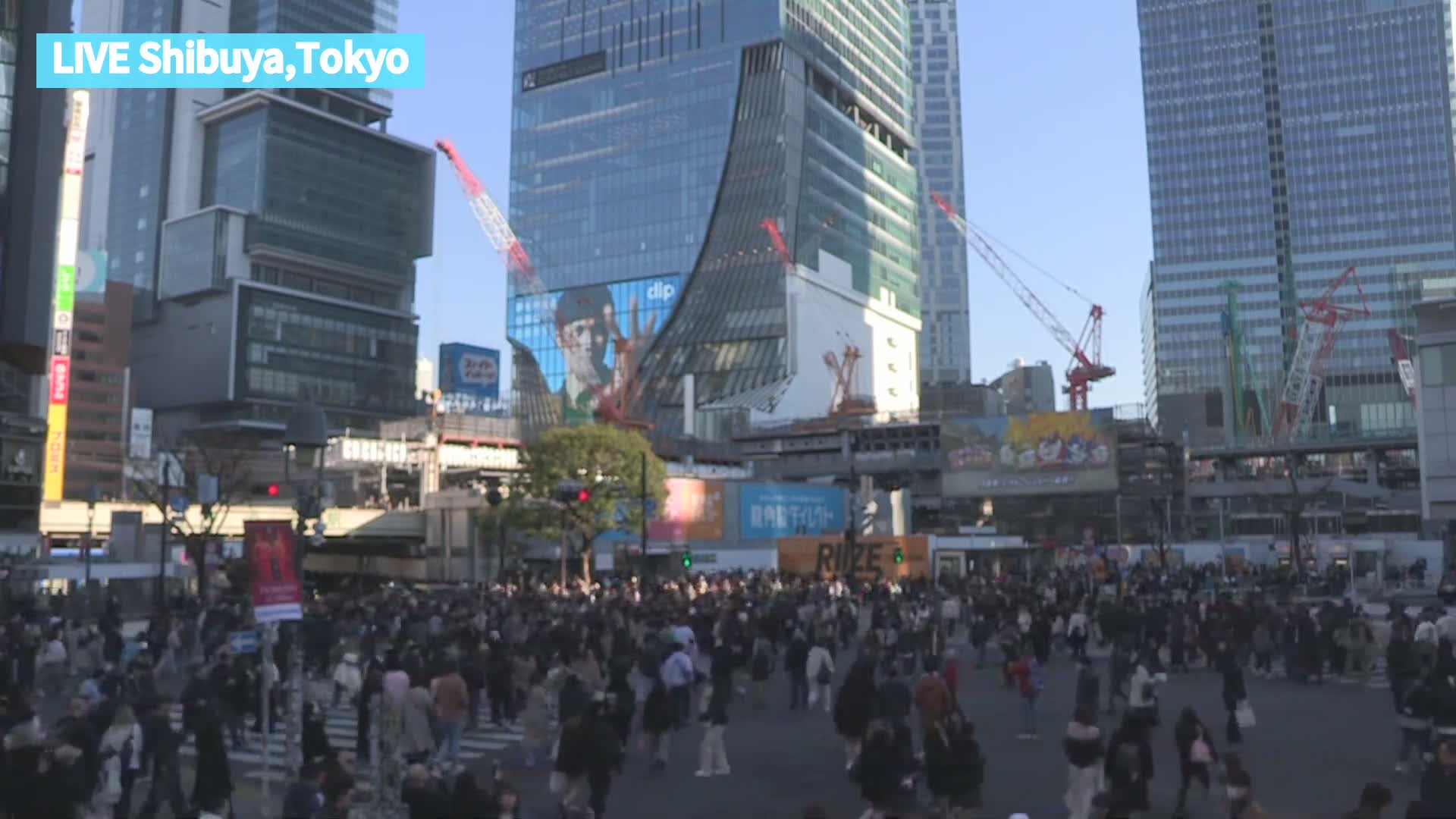 Tokyo, Shibuya Scramble Crossing at Hachiko Square & Koen Dori& Jingu-dori Street Junction ( 東京、渋谷スクランブル交差点ハチ公前広場＆公園通り＆神宮通りジャンクション )  Live Cam - Udagawacho, Shibuya-ku, Tokyo, Kantō, Honshu, Japan