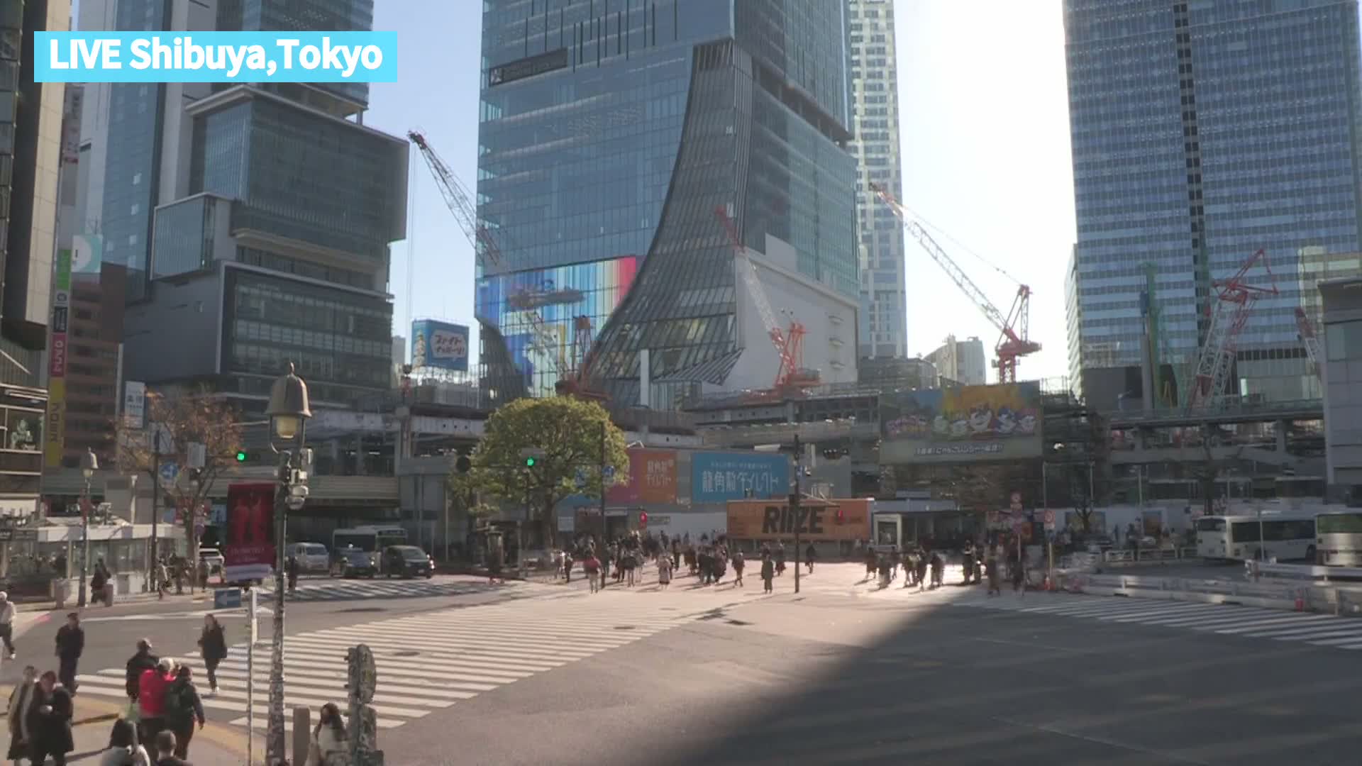 Tokyo, Shibuya Scramble Crossing at Hachiko Square & Koen Dori& Jingu-dori Street Junction ( 東京、渋谷スクランブル交差点ハチ公前広場＆公園通り＆神宮通りジャンクション )  Live Cam - Udagawacho, Shibuya-ku, Tokyo, Kantō, Honshu, Japan