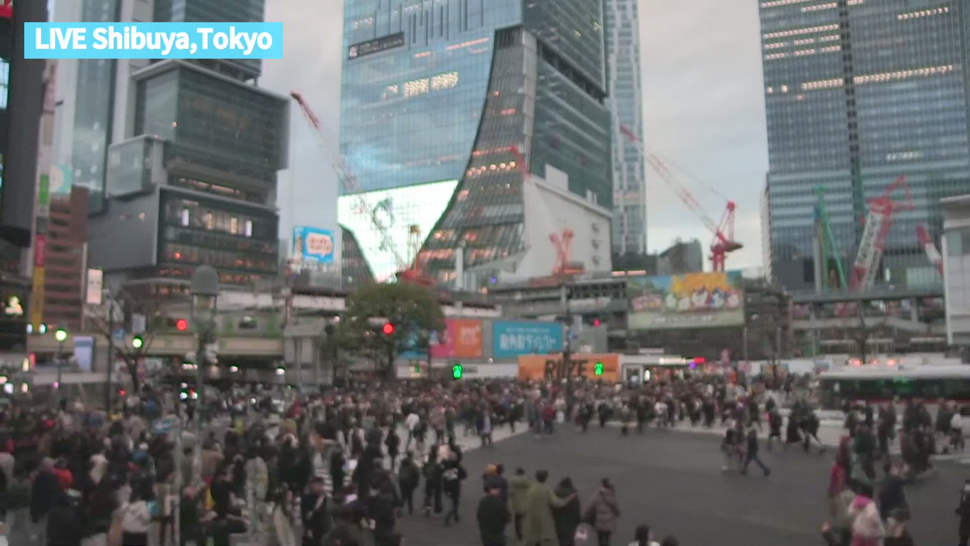 Tokyo, Shibuya Scramble Crossing at Hachiko Square & Koen Dori& Jingu-dori Street Junction ( 東京、渋谷スクランブル交差点ハチ公前広場＆公園通り＆神宮通りジャンクション )  Live Cam - Udagawacho, Shibuya-ku, Tokyo, Kantō, Honshu, Japan
