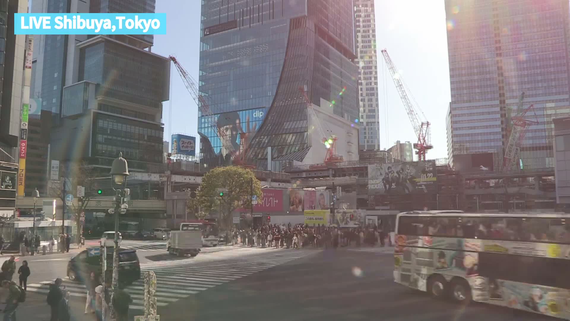 Tokyo, Shibuya Scramble Crossing at Hachiko Square & Koen Dori& Jingu-dori Street Junction ( 東京、渋谷スクランブル交差点ハチ公前広場＆公園通り＆神宮通りジャンクション )  Live Cam - Udagawacho, Shibuya-ku, Tokyo, Kantō, Honshu, Japan