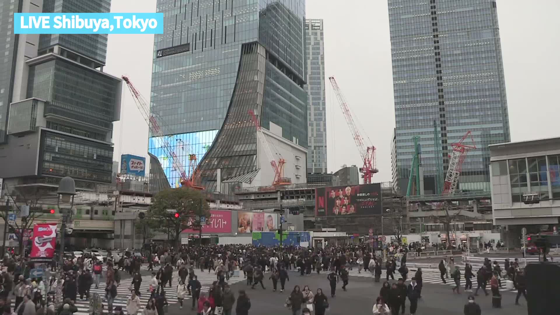 Tokyo, Shibuya Scramble Crossing at Hachiko Square & Koen Dori& Jingu-dori Street Junction ( 東京、渋谷スクランブル交差点ハチ公前広場＆公園通り＆神宮通りジャンクション )  Live Cam - Udagawacho, Shibuya-ku, Tokyo, Kantō, Honshu, Japan
