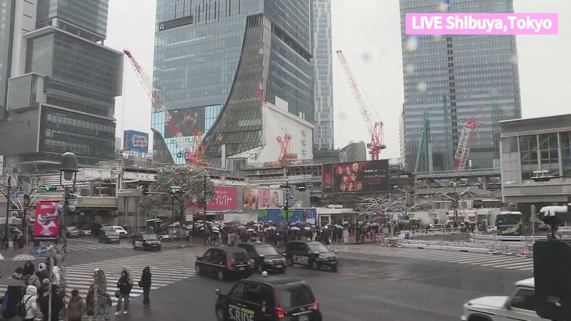 Tokyo, Shibuya Scramble Crossing at Hachiko Square & Koen Dori& Jingu-dori Street Junction ( 東京、渋谷スクランブル交差点ハチ公前広場＆公園通り＆神宮通りジャンクション )  Live Cam - Udagawacho, Shibuya-ku, Tokyo, Kantō, Honshu, Japan
