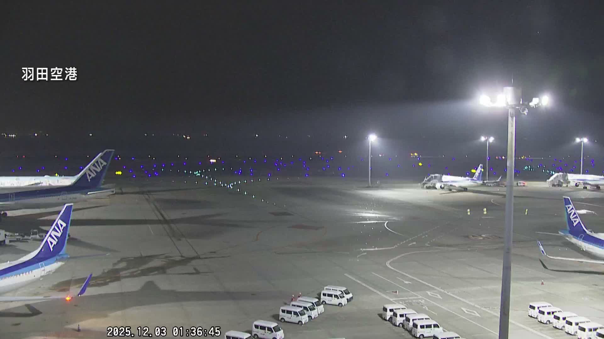 The image displays an active airport tarmac at night, illuminated by bright lights, with several ANA airplanes and white service vans parked, and distant runway lights visible under a clear night sky.