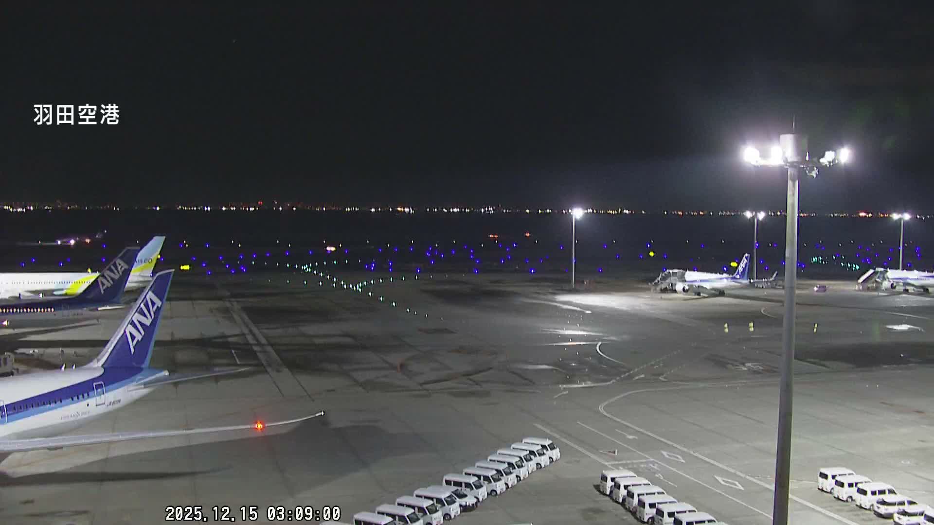 The image depicts an airport tarmac at night, bustling with parked ANA airplanes and ground vehicles, with illuminated runways and distant city lights under clear skies.