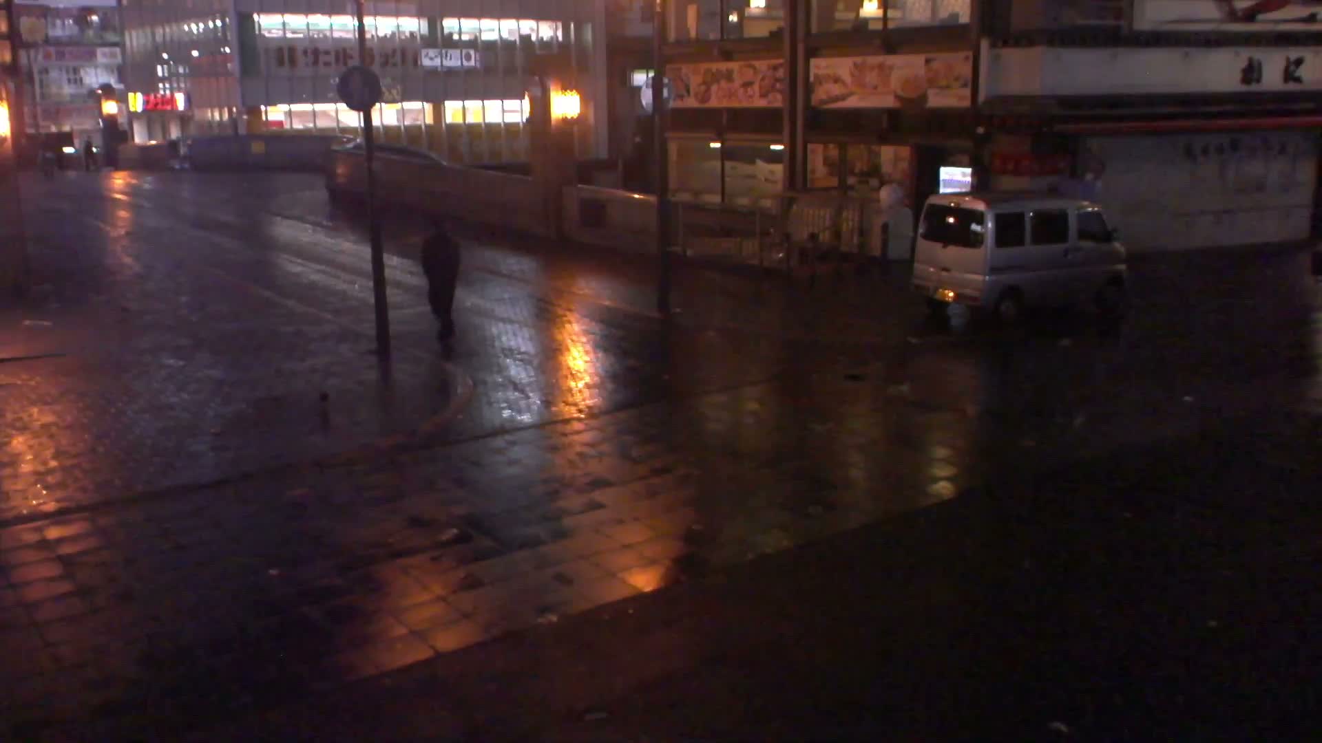 Osaka,  Dotonbori Ebisu Bridge Live Cam -  1 Chome Dotonbori, Chuo Ward ,Osaka, Kansai, Honshu, Japan
