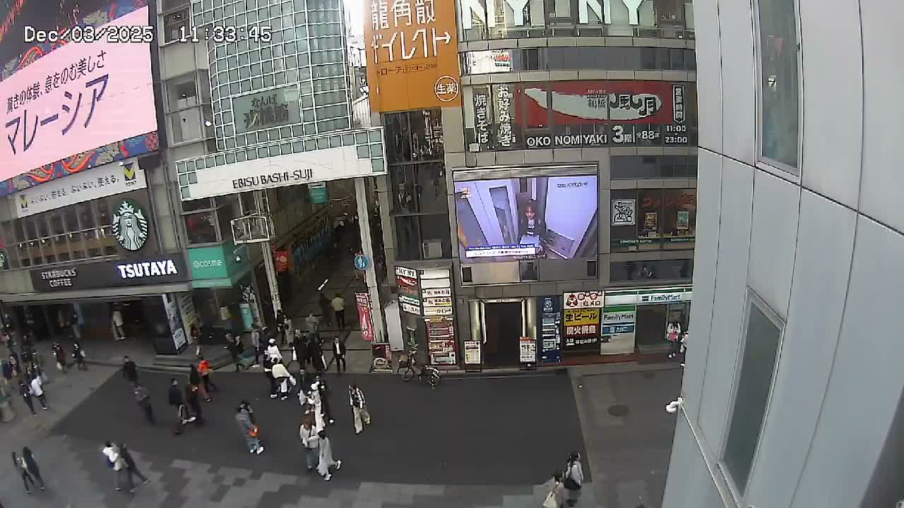Osaka, Chuo Ward , Dotonbori, Ebisu Bashi - Suji Shopping Street Live Cam - 5-8 Chome,  Dotonbori, Chuo Ward ,Osaka, Kansai, Honshu, Japan