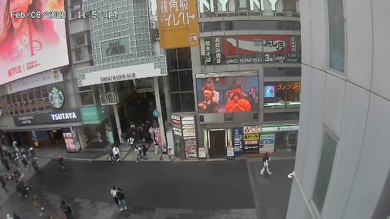 Osaka, Chuo Ward , Dotonbori, Ebisu Bashi - Suji Shopping Street Live Cam - 5-8 Chome,  Dotonbori, Chuo Ward ,Osaka, Kansai, Honshu, Japan