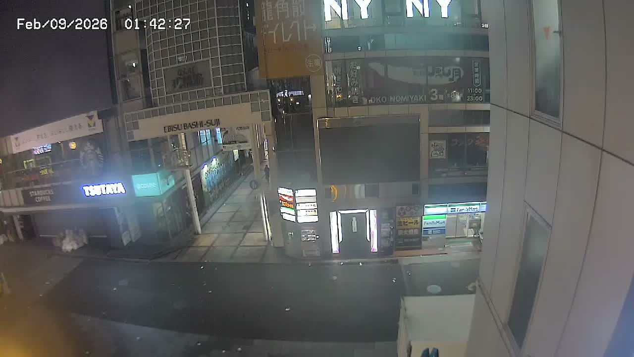 Osaka, Chuo Ward , Dotonbori, Ebisu Bashi - Suji Shopping Street Live Cam - 5-8 Chome,  Dotonbori, Chuo Ward ,Osaka, Kansai, Honshu, Japan