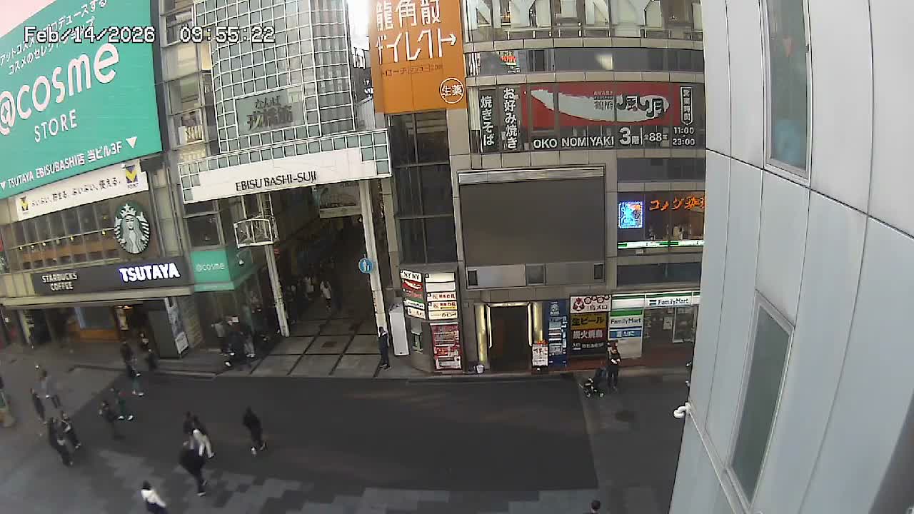 Osaka, Chuo Ward , Dotonbori, Ebisu Bashi - Suji Shopping Street Live Cam - 5-8 Chome,  Dotonbori, Chuo Ward ,Osaka, Kansai, Honshu, Japan