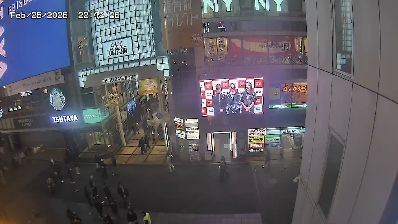 Osaka, Chuo Ward , Dotonbori, Ebisu Bashi - Suji Shopping Street Live Cam - 5-8 Chome,  Dotonbori, Chuo Ward ,Osaka, Kansai, Honshu, Japan