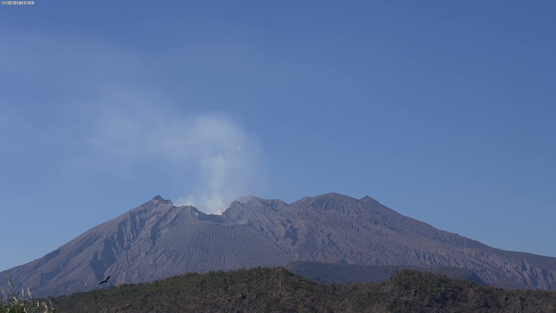 Kagoshima, Sakurajima Living Volcano ( 鹿児島・桜島 生きた火山 ) Live Cam - Kurokamicho, Kagoshima, Kagoshima Prefecture, Kyushu, Japan