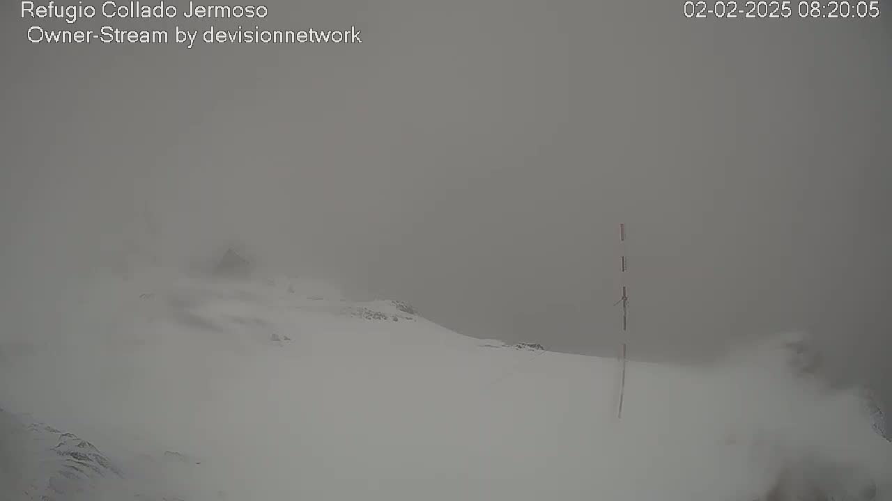 A snow-covered landscape is obscured by heavy fog or blowing snow.