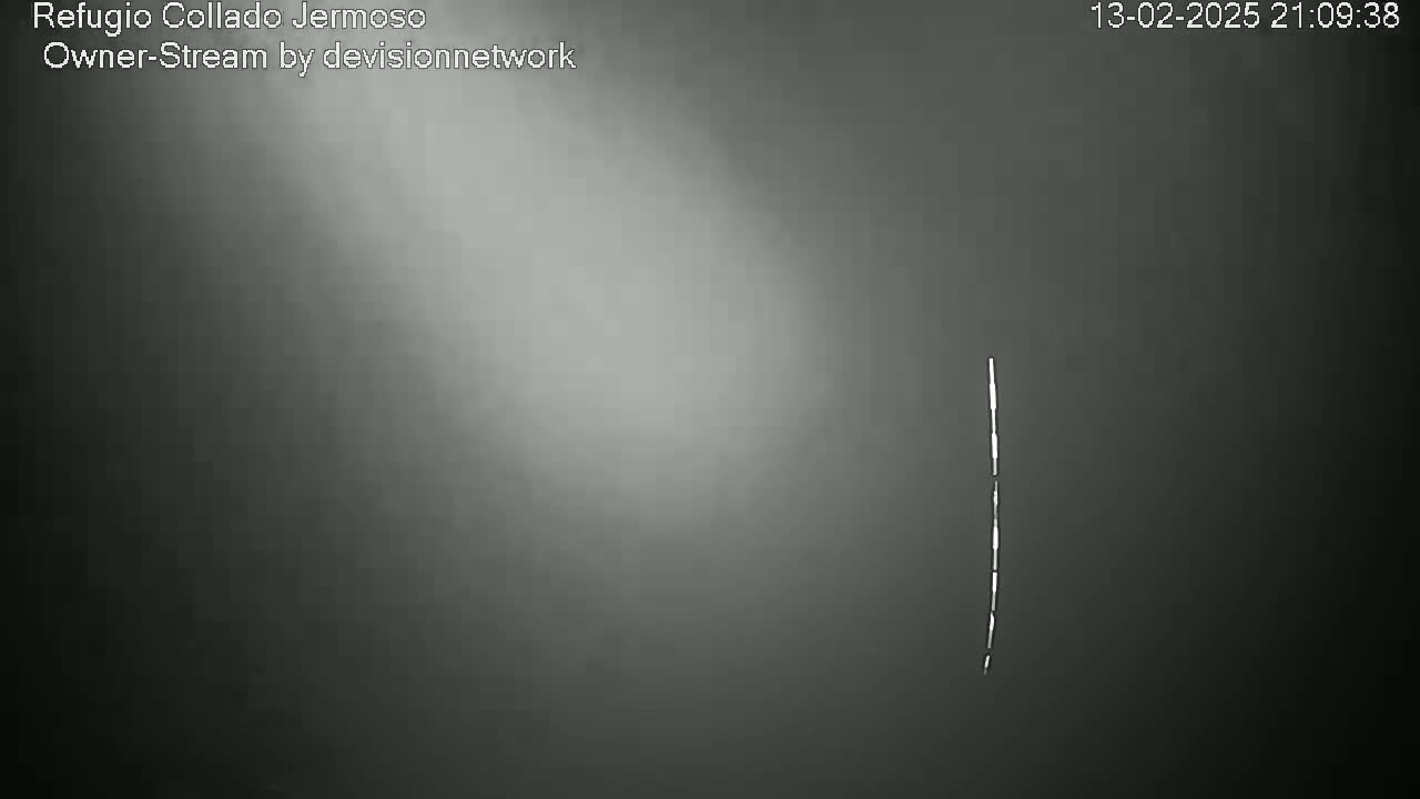 A blurry, grayscale image shows a thin, vertical white line against a dark, possibly foggy, background.