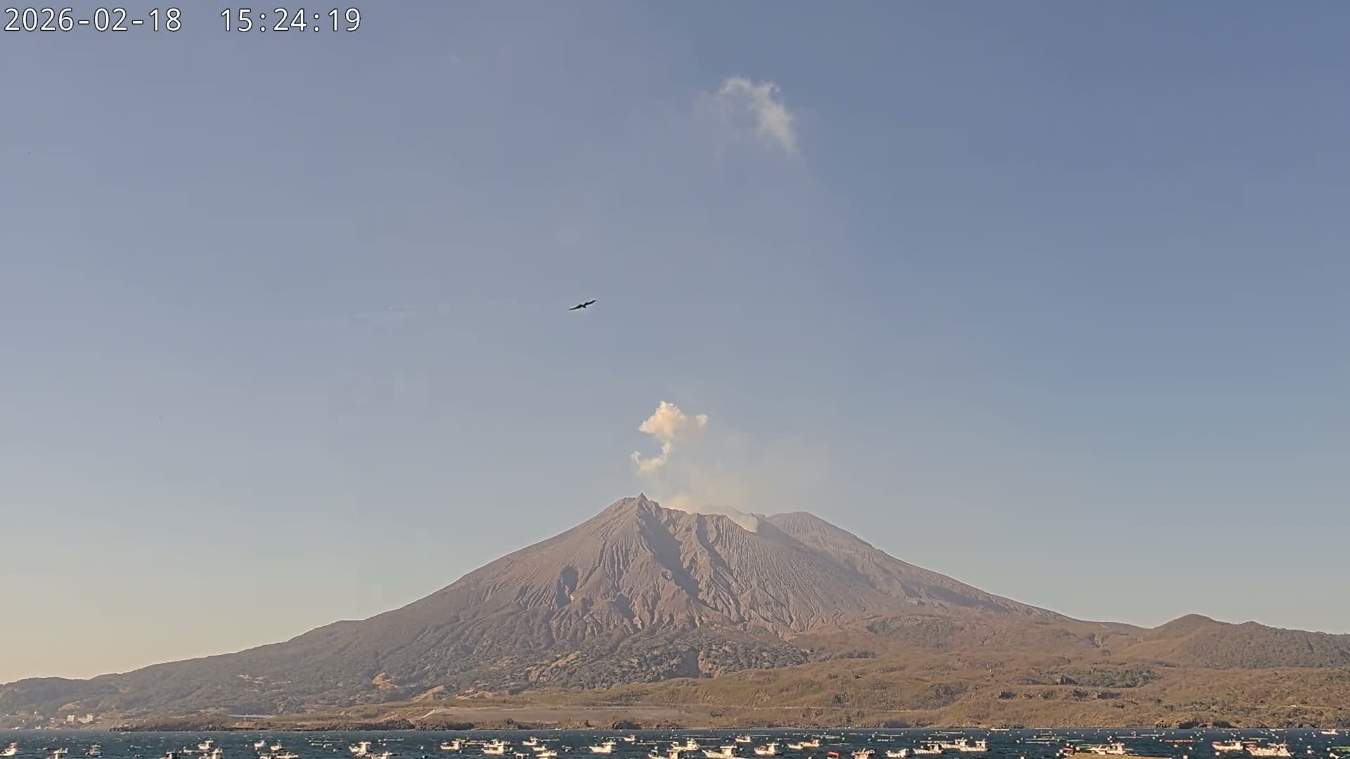 Tarumizu, Kaigata Fishing Port & Sakurajima Living Volcano View ( 垂水・貝潟漁港＆桜島リビングボルケーノビュー )  Live Cam - Kaigata, Tarumizu, Kagoshima Prefecture, Kyushu, Japan