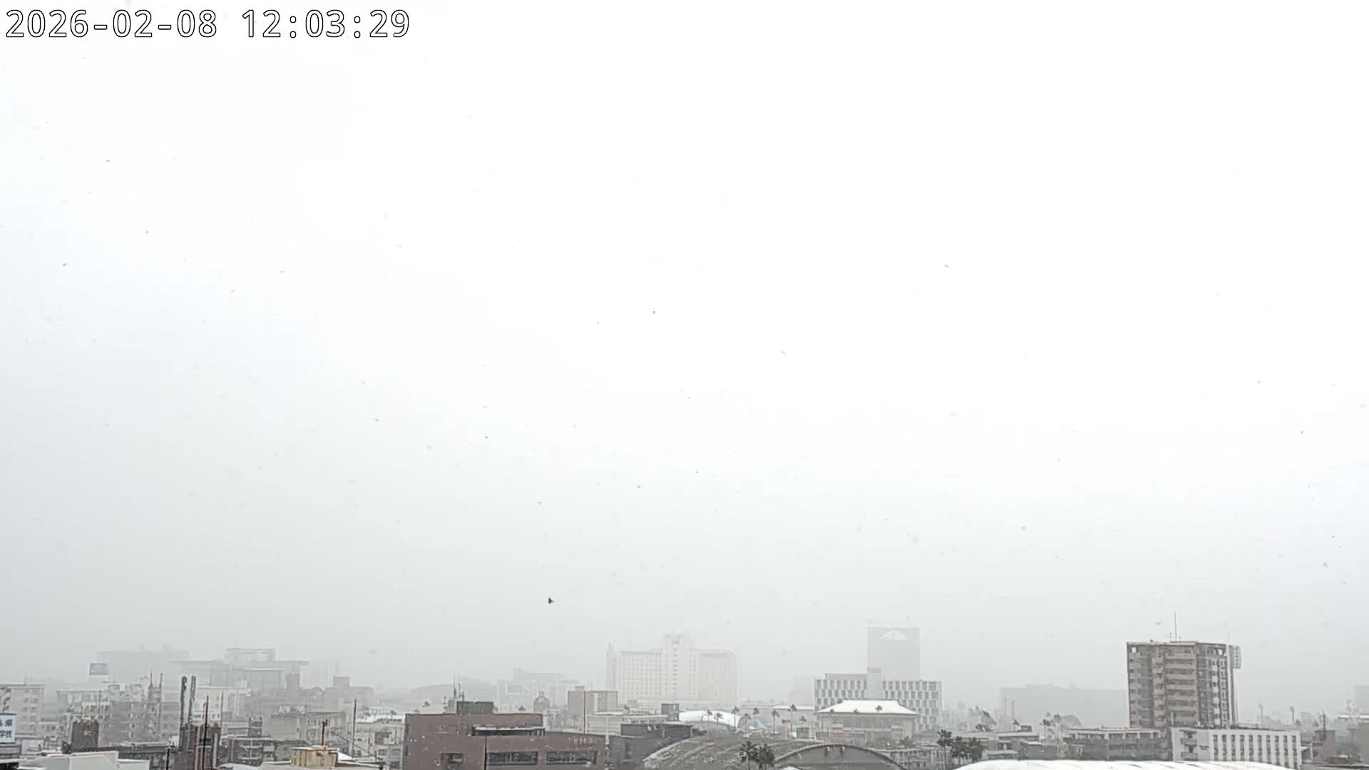 Kagoshima City Skyline & Sakurajima Living Volcano View ( 鹿児島市街のスカイラインと桜島の活火山 ) Live Cam - Kamoikeshinmachi, Kagoshima, Kagoshima Prefecture, Kyushu, Japan