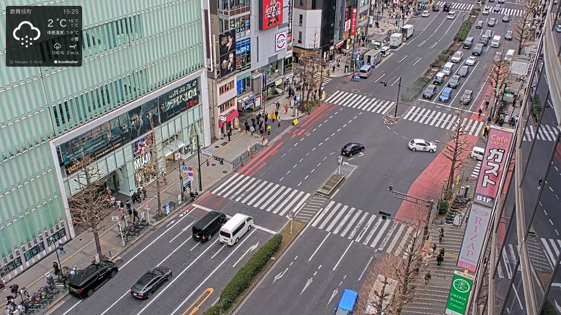 Tokyo, Shinjuku Kabukicho Yasukuni-dori Avenue ( 東京 新宿 歌舞伎町 靖国通り ) Live Cam - 1 Chome, Kabukichō, Shinjuku-ku, Tokyo, Kantō, Honshu, Japan