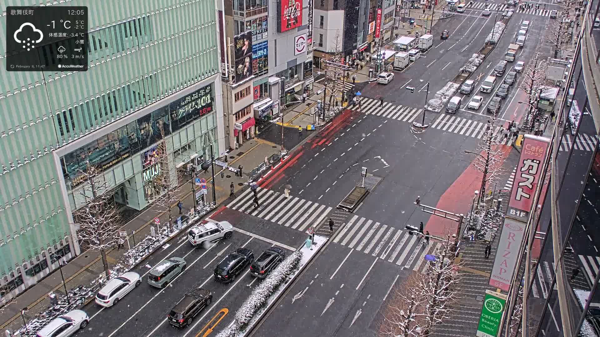 Tokyo, Shinjuku Kabukicho Yasukuni-dori Avenue ( 東京 新宿 歌舞伎町 靖国通り ) Live Cam - 1 Chome, Kabukichō, Shinjuku-ku, Tokyo, Kantō, Honshu, Japan