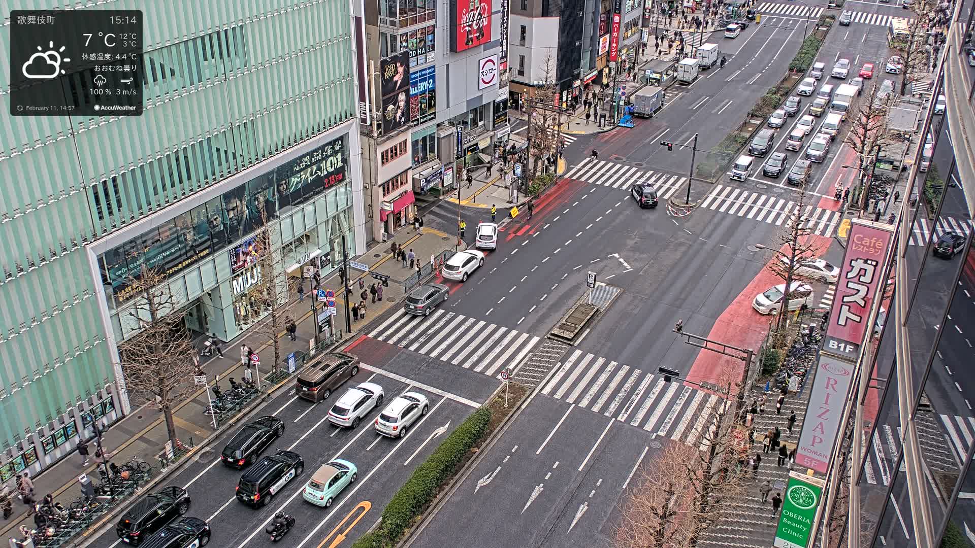 Tokyo, Shinjuku Kabukicho Yasukuni-dori Avenue ( 東京 新宿 歌舞伎町 靖国通り ) Live Cam - 1 Chome, Kabukichō, Shinjuku-ku, Tokyo, Kantō, Honshu, Japan