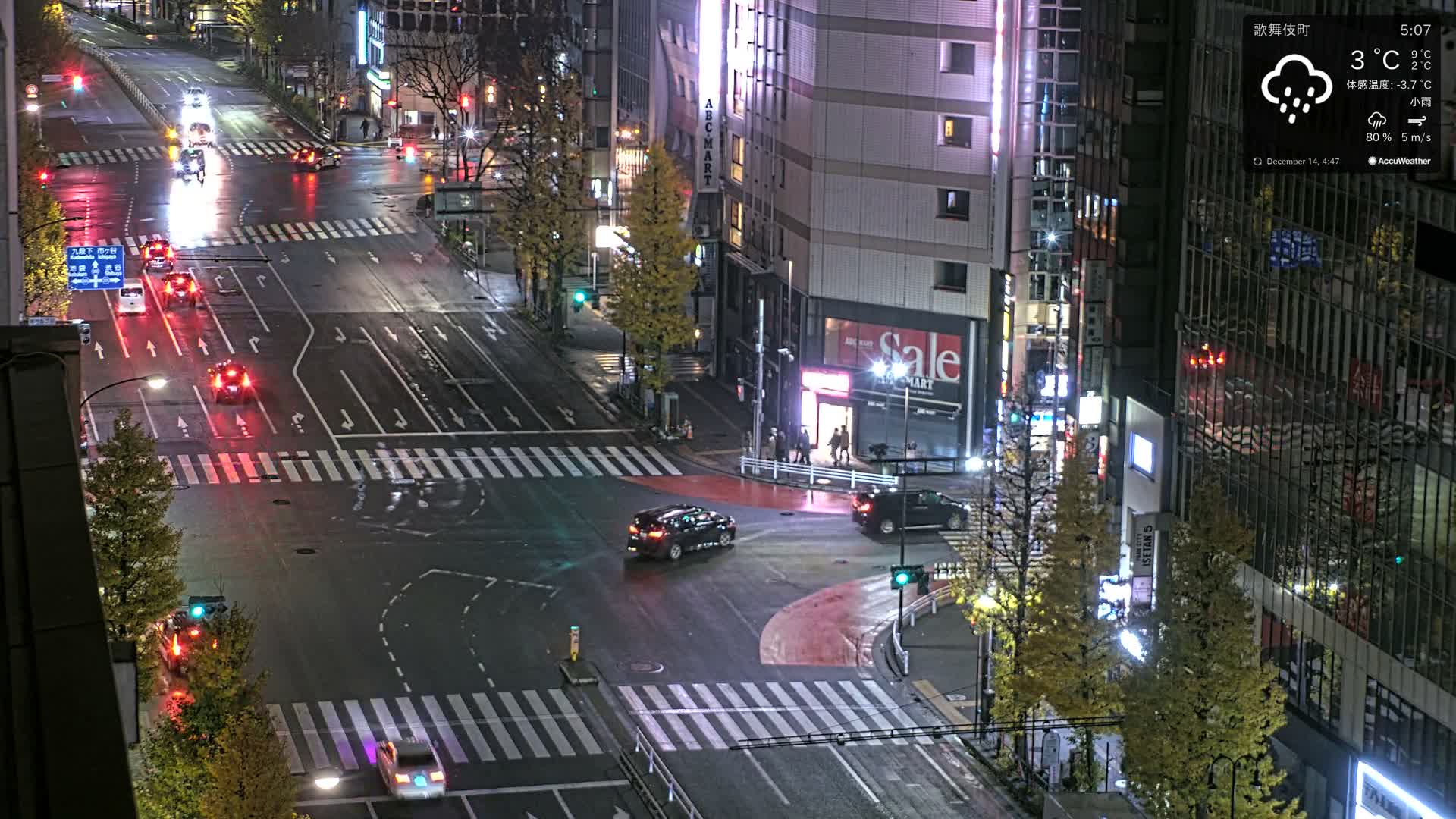 Tokyo, Shinjuku Kabukicho Meiji-dori / Yasukuni-dori Avenue Junction ( 東京 新宿 歌舞伎町 明治通り・靖国通り交差点 ) Live Cam - 1 Chome, Kabukichō, Shinjuku-ku, Tokyo, Kantō, Honshu, Japan