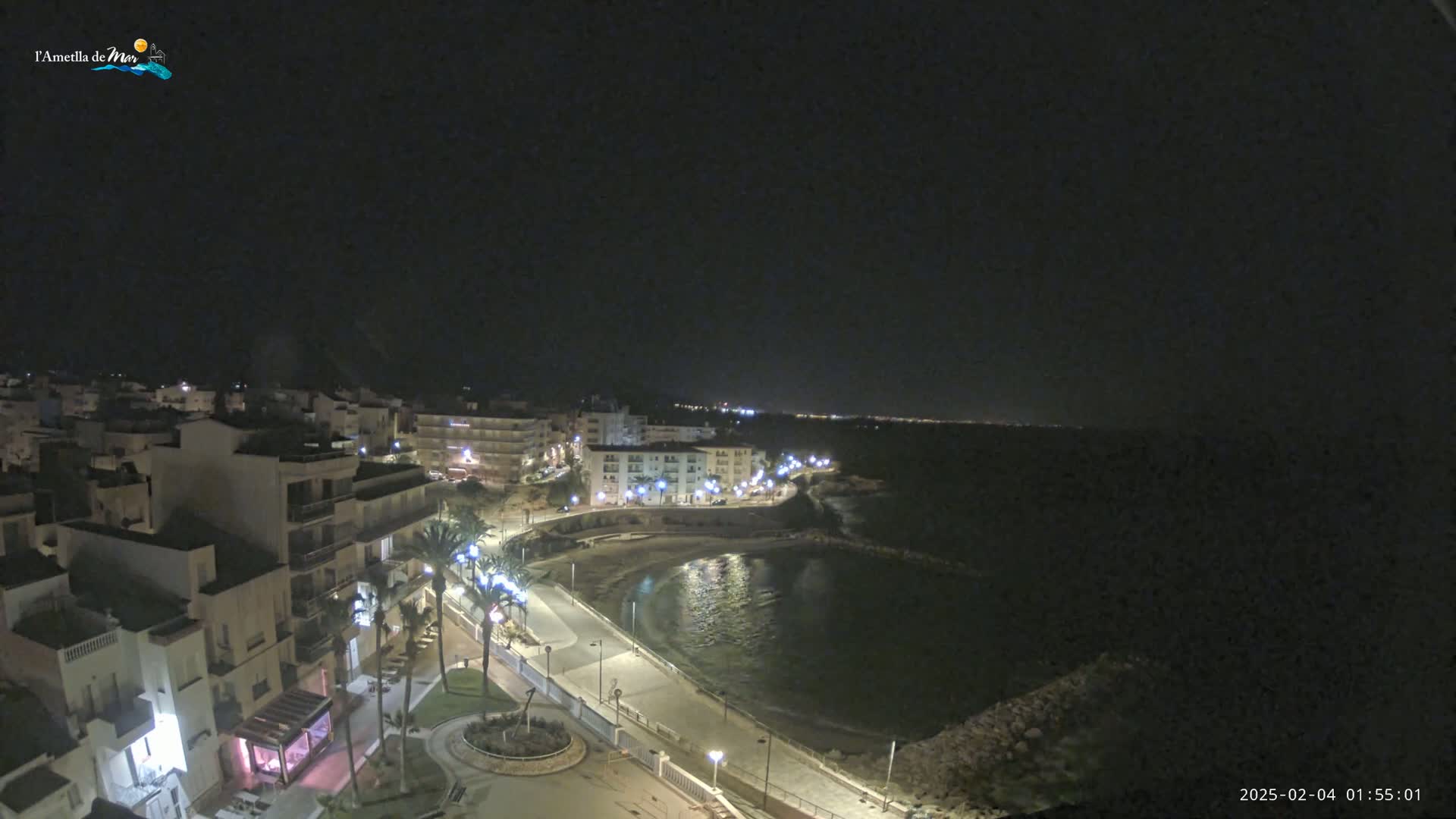 A nighttime view of a coastal town with a calm bay, illuminated buildings, and palm trees lining a paved waterfront area under a clear, dark sky.