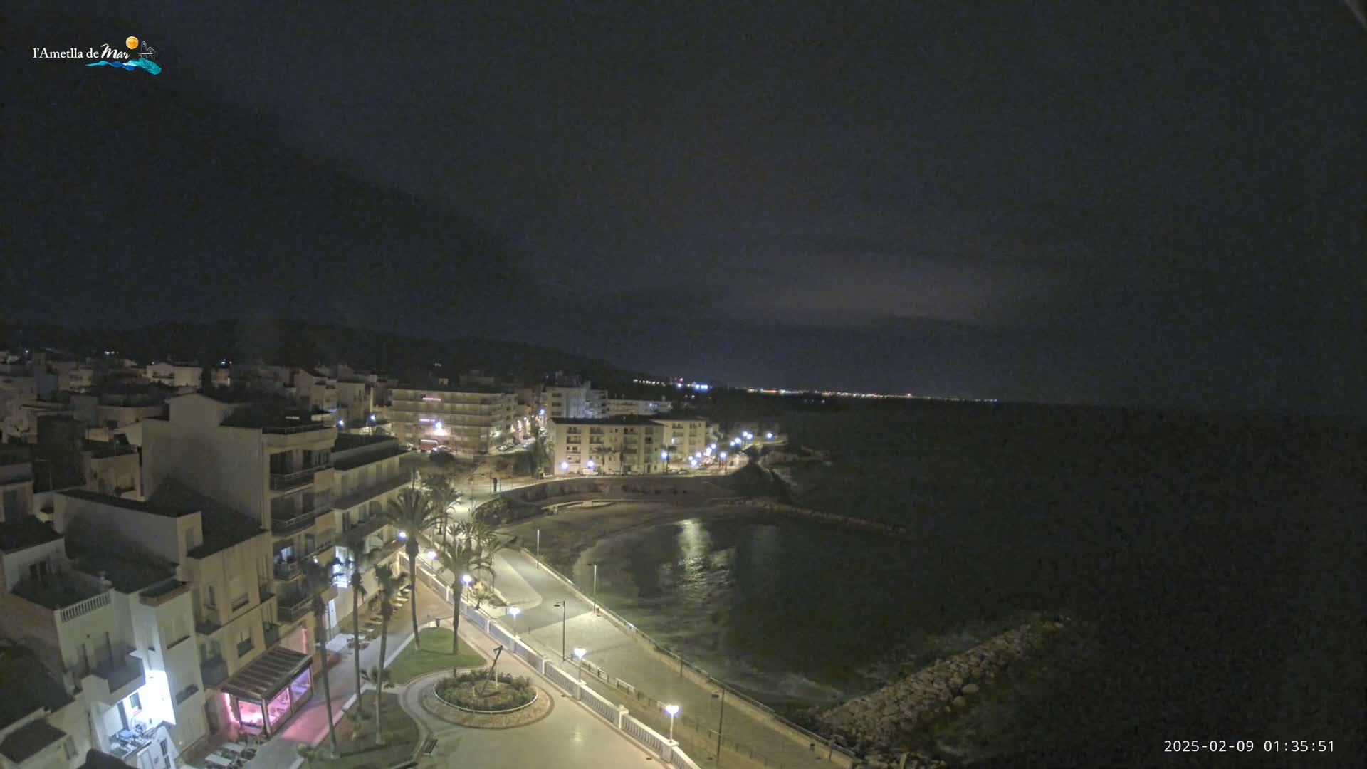 A nighttime view of a coastal town with a calm bay, illuminated buildings, and palm trees lining a paved waterfront.
