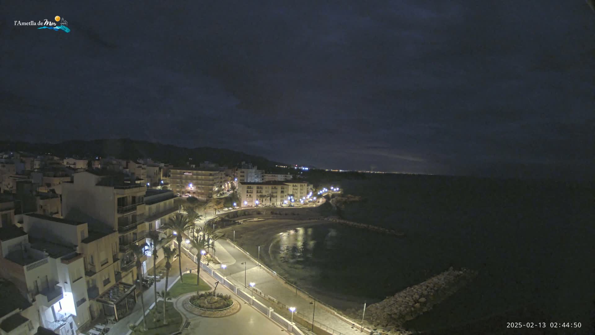 A nighttime view of a coastal town with a calm bay, illuminated buildings, and palm trees lining a paved walkway.